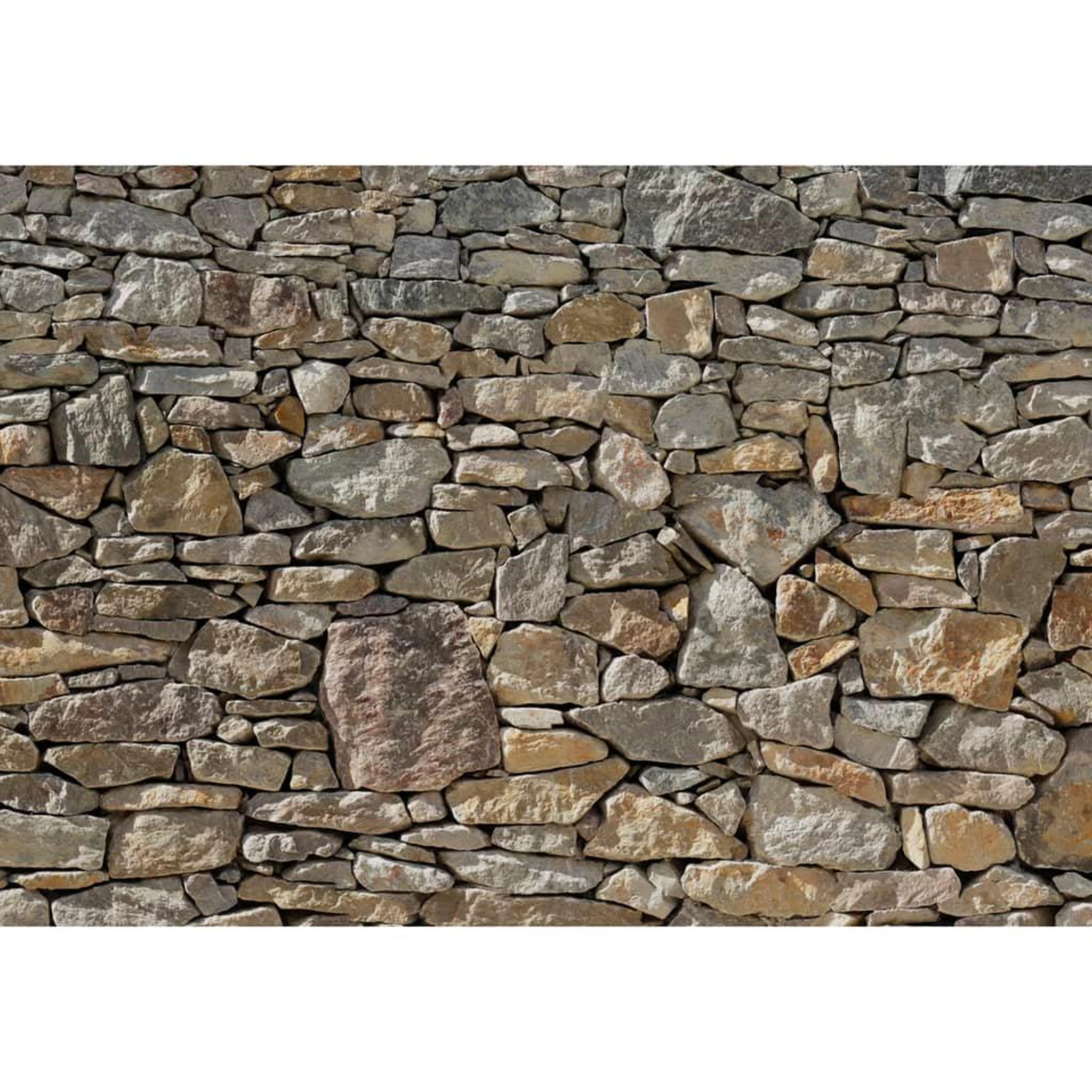 Voir la diapositive 1 : Komar Komar Photo murale Stone Wall 368 x 254 cm 8-727