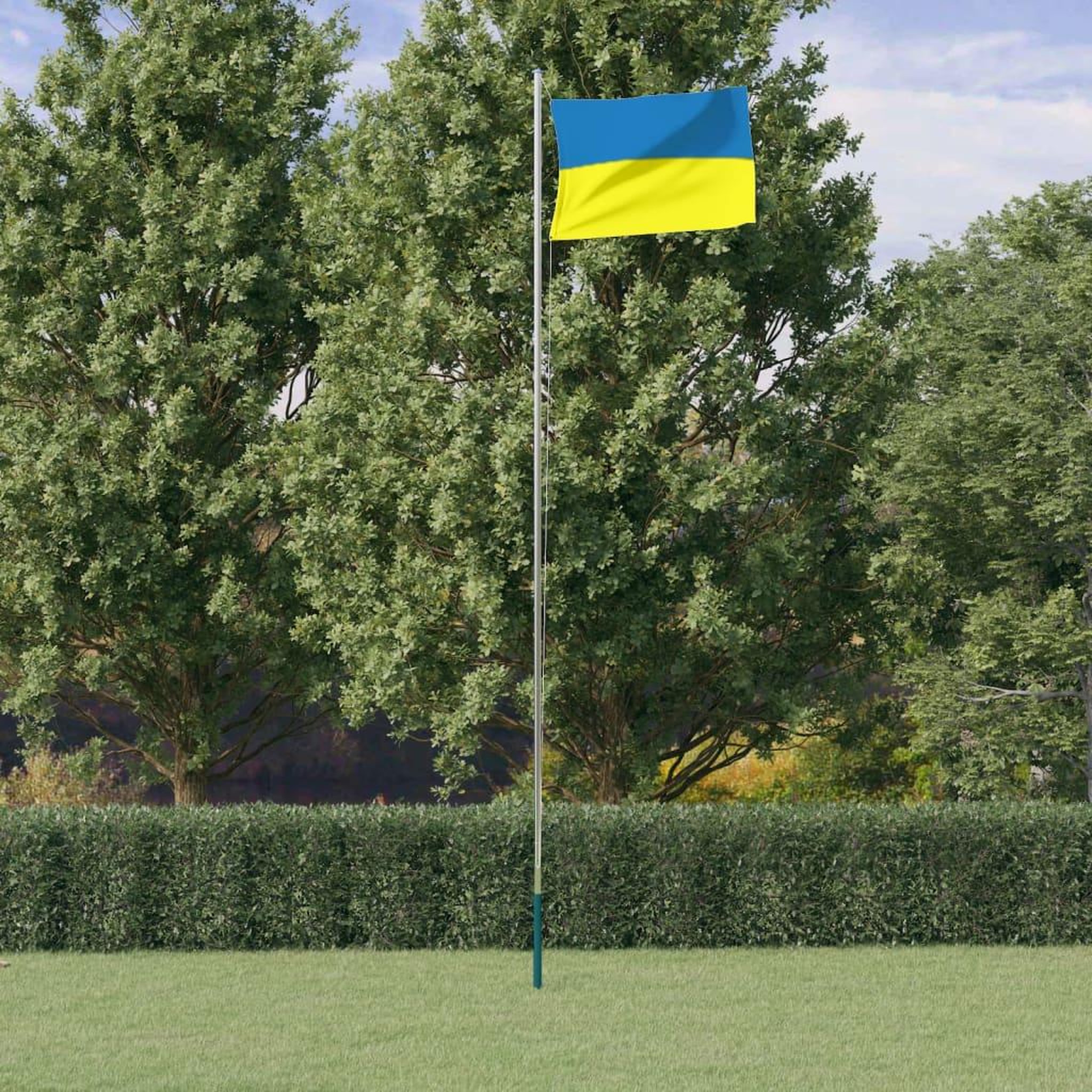 VIDAXL Drapeau de l'Ukraine et mat 6,23 m aluminium