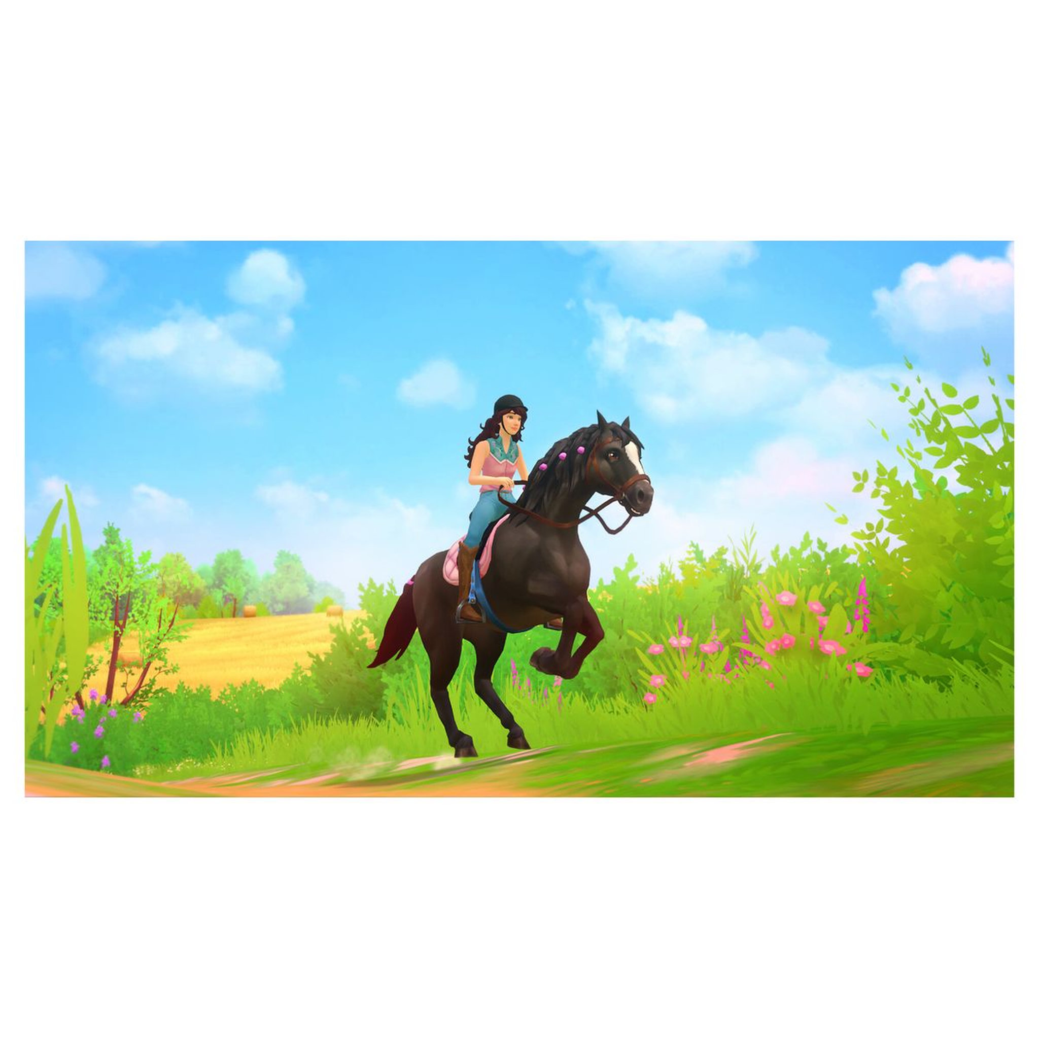 Voir la diapositive 4 : Horse Club Adventures Nintendo Switch
