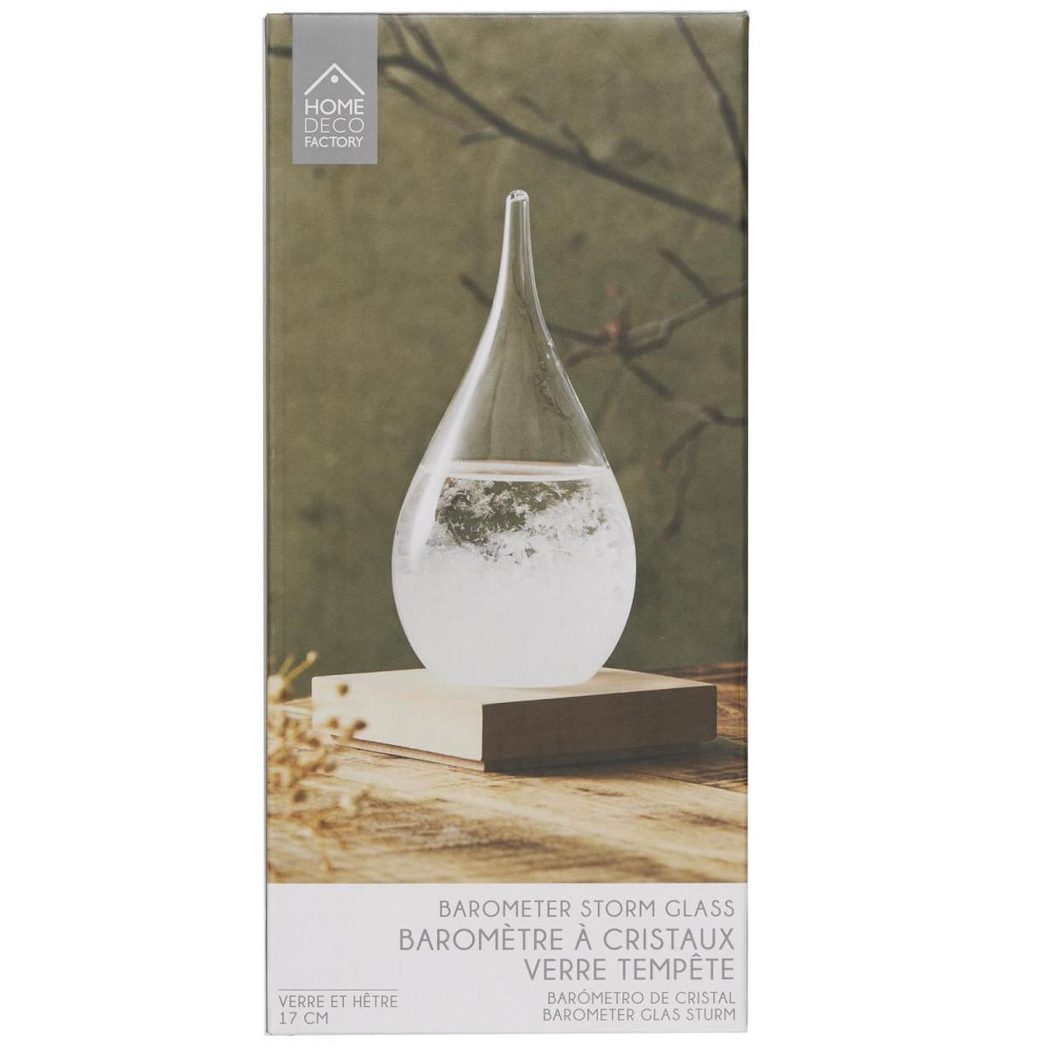 Voir la diapositive 5 : The Home Deco Factory Baromètre à cristaux  verre tempête  17cm transparent