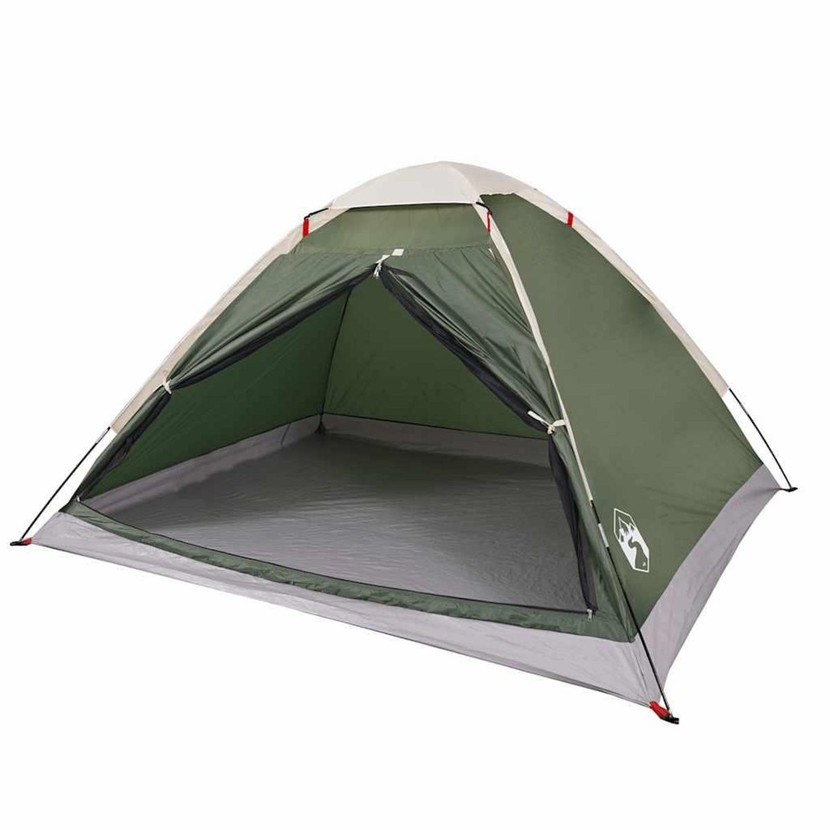 VIDAXL Tente de camping a dome 2 personne vert impermeable