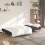 Voir la diapositive 3 : VIDAXL Canape-lit a 2 places noir tissu