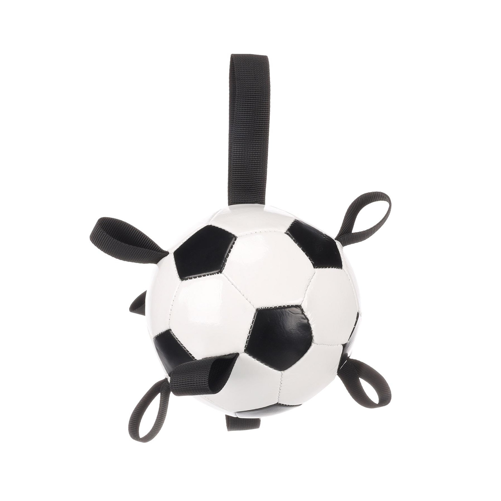 Voir la diapositive 1 : Eden Ballon de football flottant avec rubans pour chien
