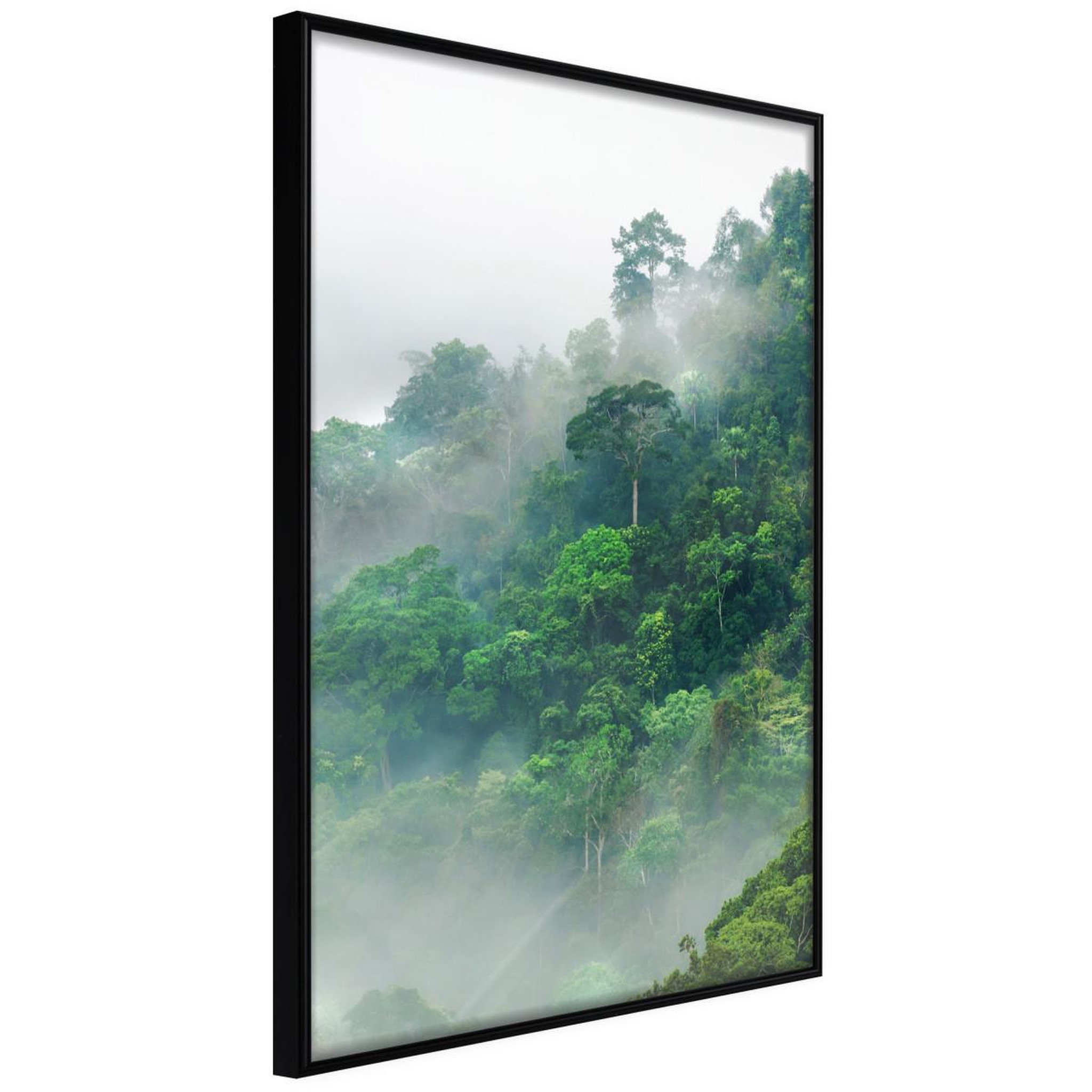 Paris Prix Affiche Murale Encadrée  Green Lungs of the Earth II