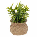 ATMOSPHERA Plante Artificielle en Pot  Jiling  20cm Beige