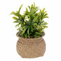 Voir la diapositive 1 : ATMOSPHERA Plante Artificielle en Pot  Jiling  20cm Beige