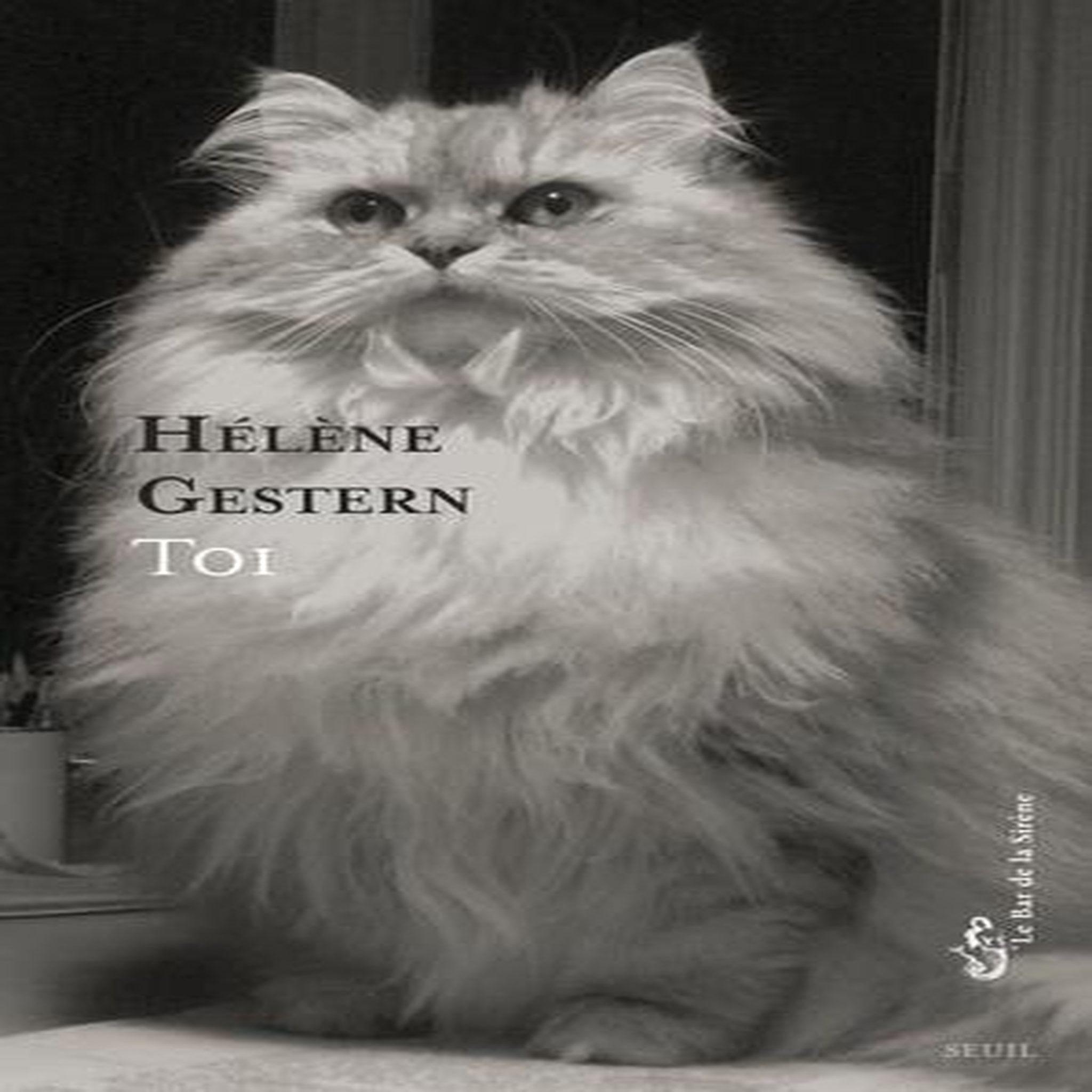 TOI, Gestern Hélène
