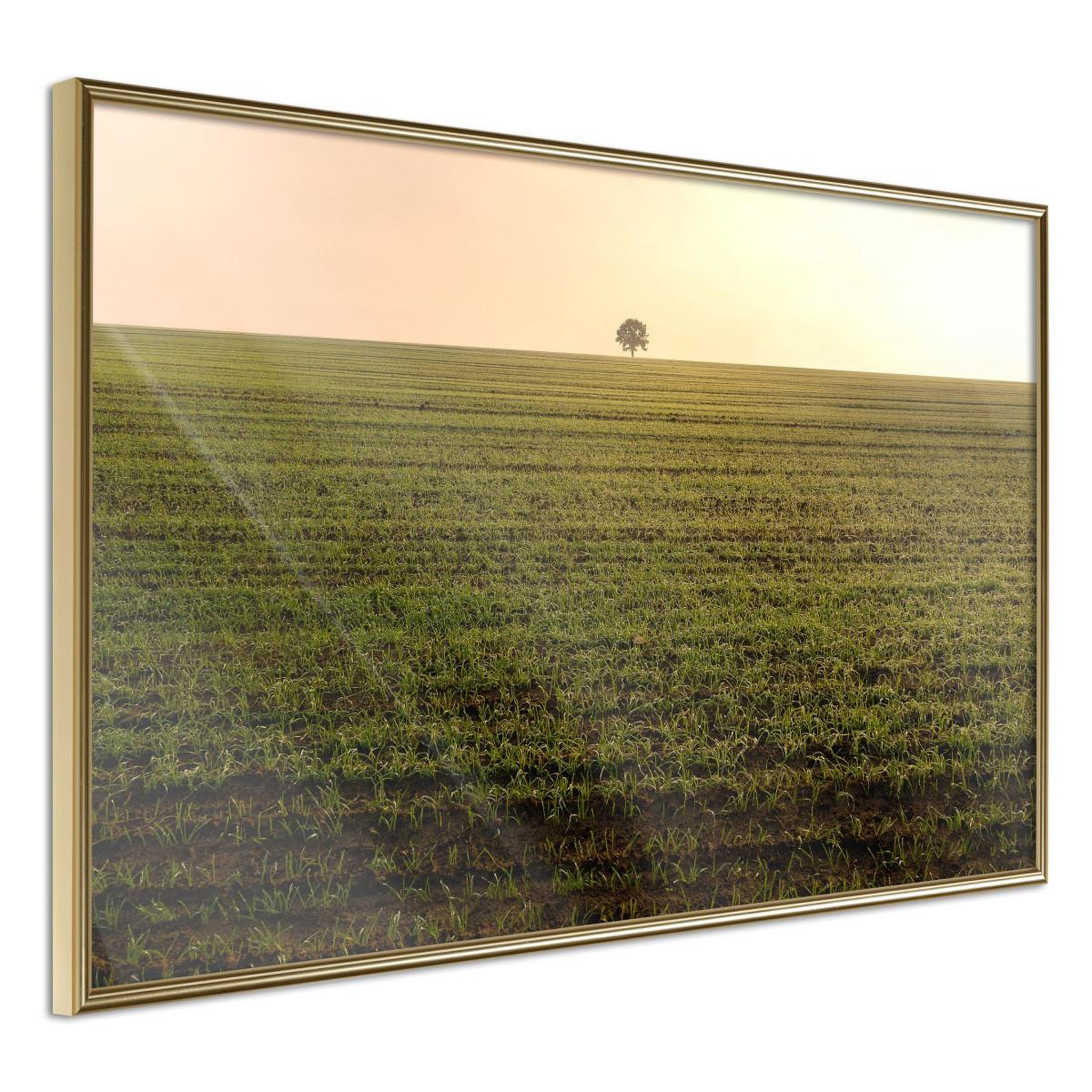 Paris Prix Affiche murale encadrée  farmland