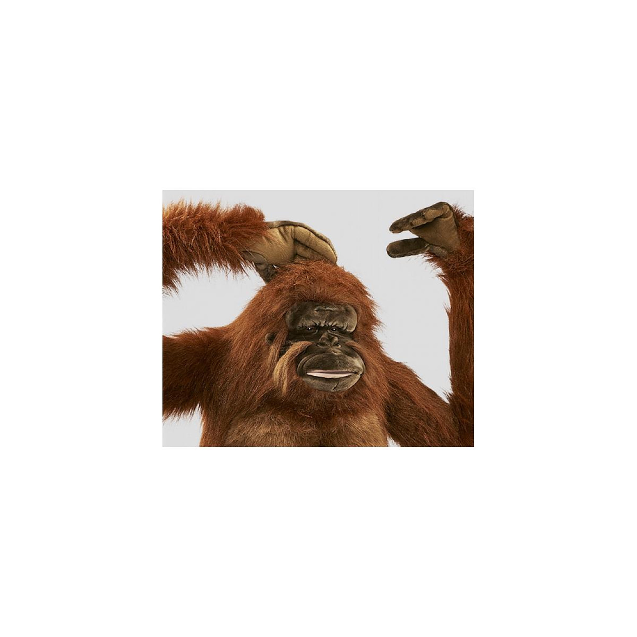 Voir la diapositive 2 : Hansa Hansa Peluche Geante Orang Outang 90 cm H