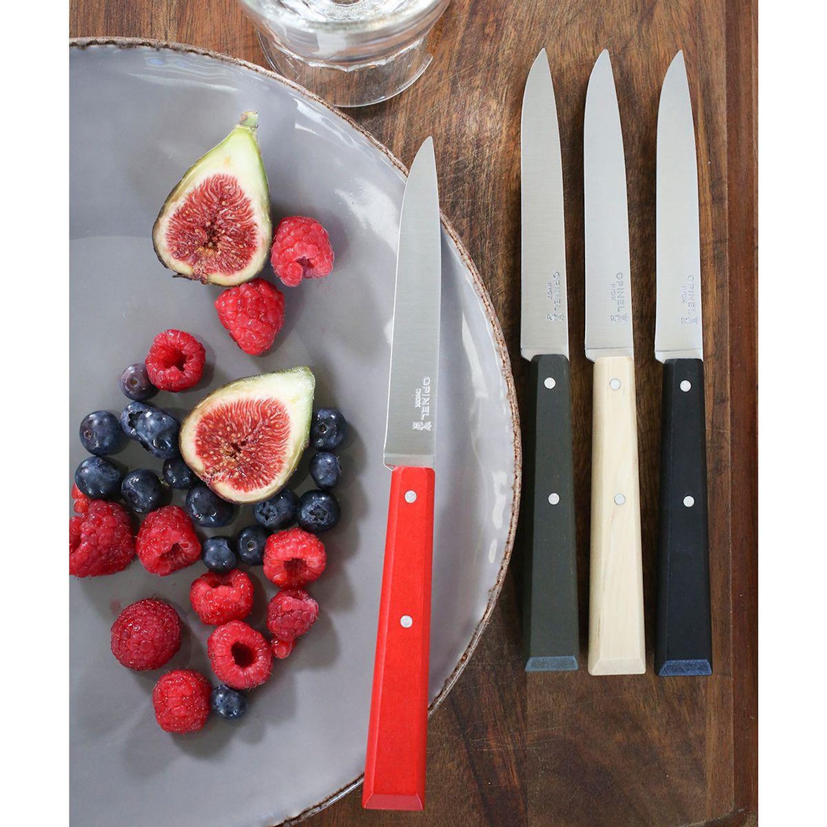 Opinel Set de couteaux Bon appétit Loft 4 couteaux de table