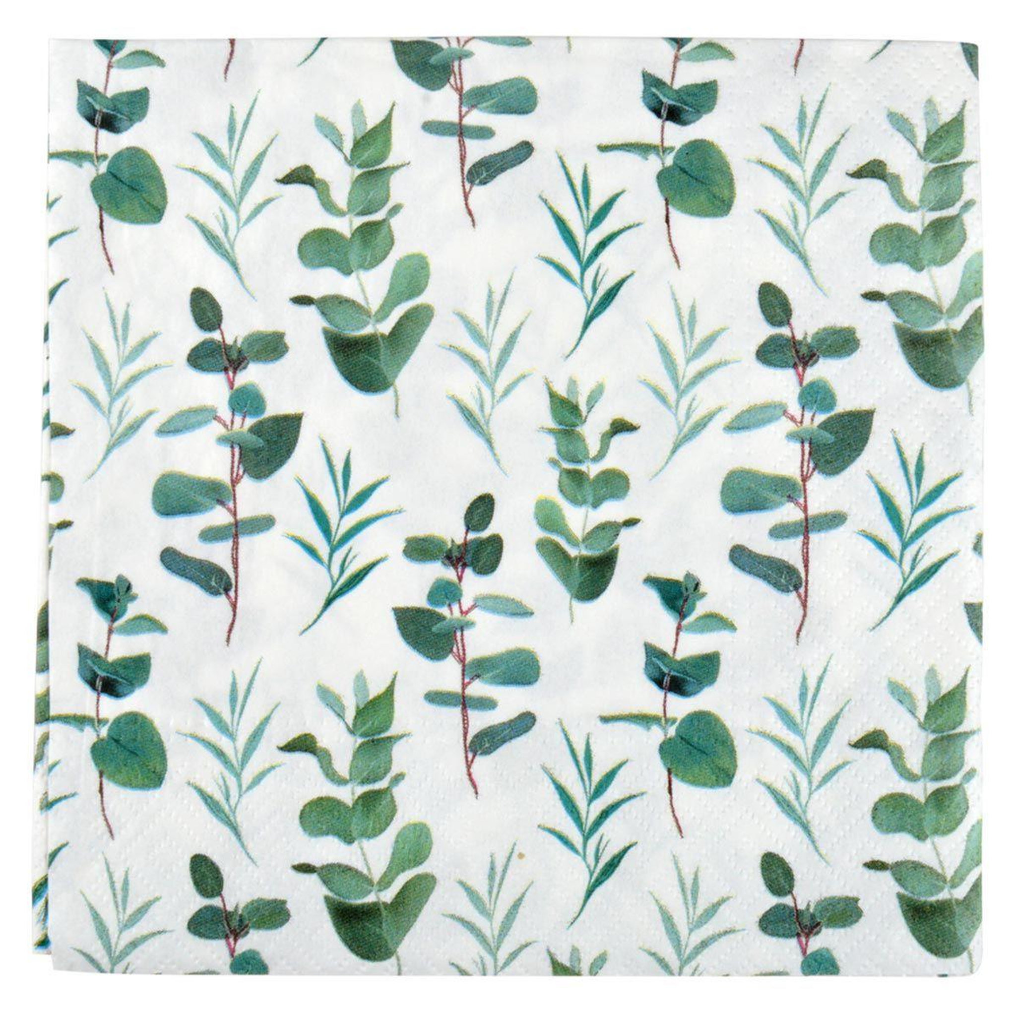 HOMEA Lot de 20 serviettes en papier  eucalyptus  33x33cm vert
