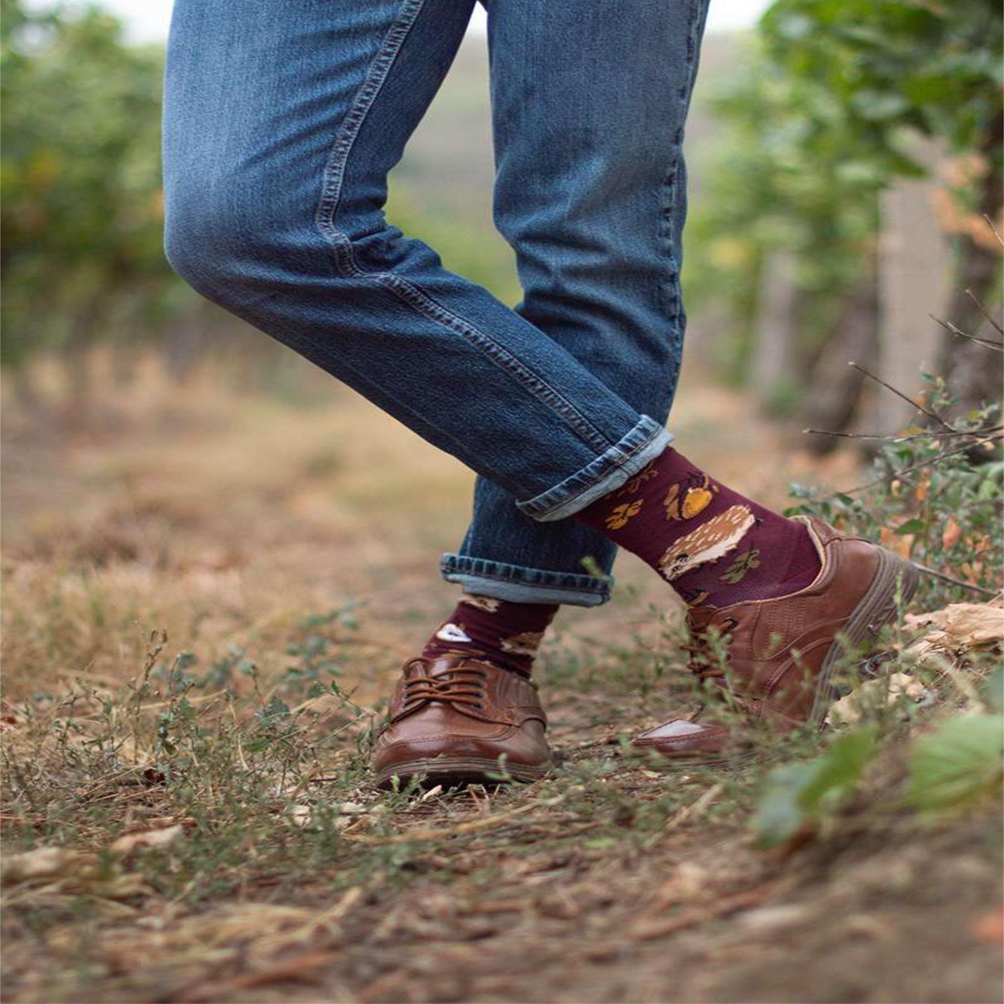 Voir la diapositive 5 : PIRIN HILL Chaussettes coton bio automne hérissons