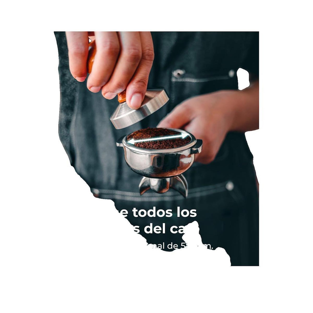 CECOTEC Machine à café expresso professionnelle cecotec Barista Baristeo Regina noir