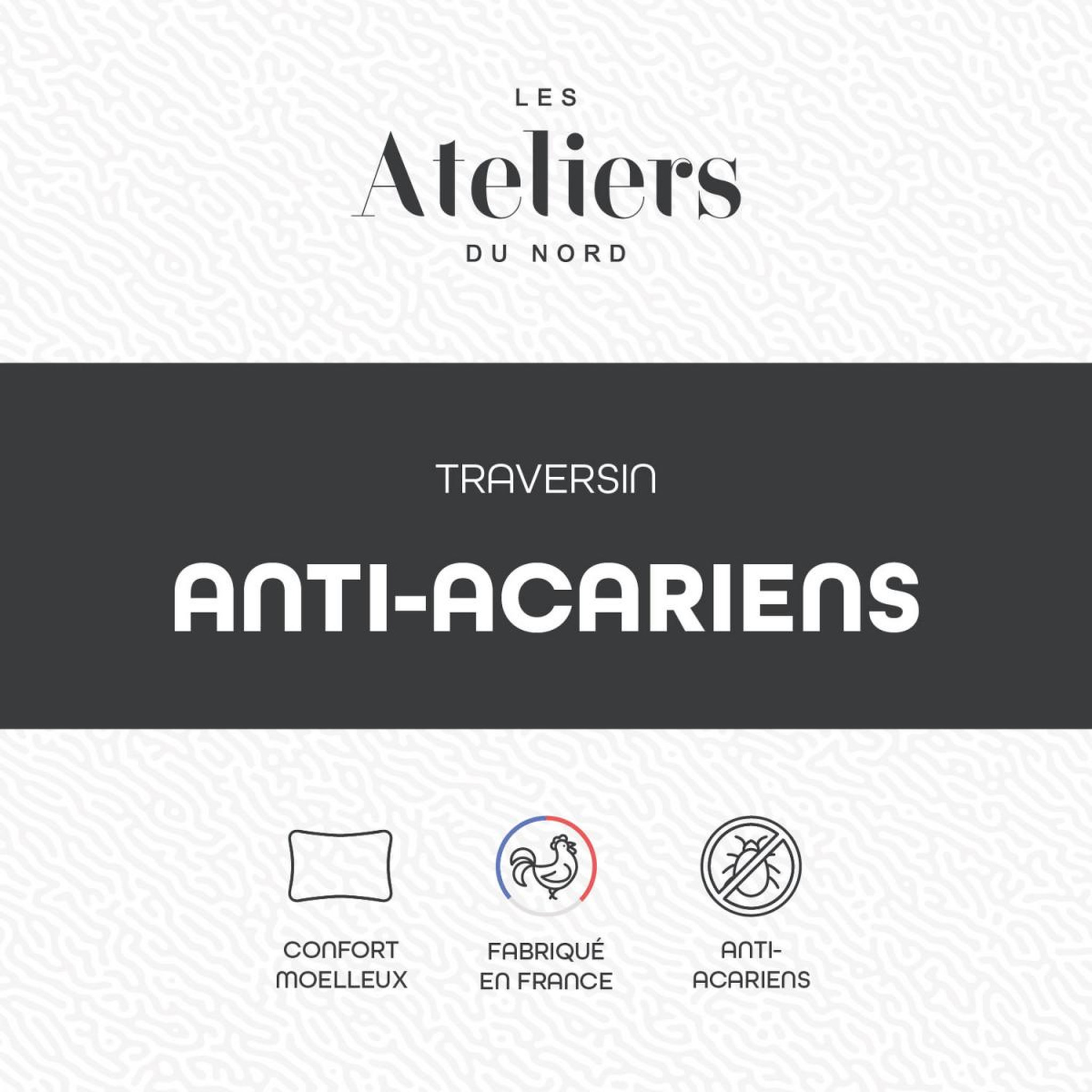 Voir la diapositive 2 : ATELIERS DU NORD Traversin anti-acariens