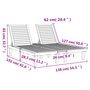 Voir la diapositive 6 : VIDAXL Chaise longue double noir 155x138x83 cm polypropylene