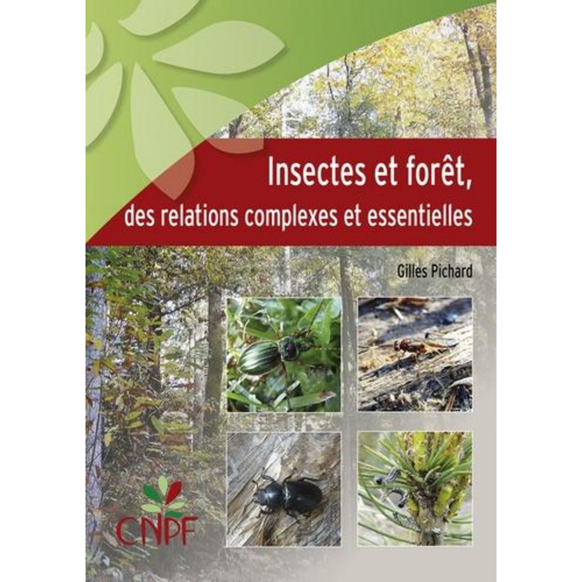 INSECTES ET FORET, DES RELATIONS COMPLEXES ET ESSENTIELLES, Pichard Gilles