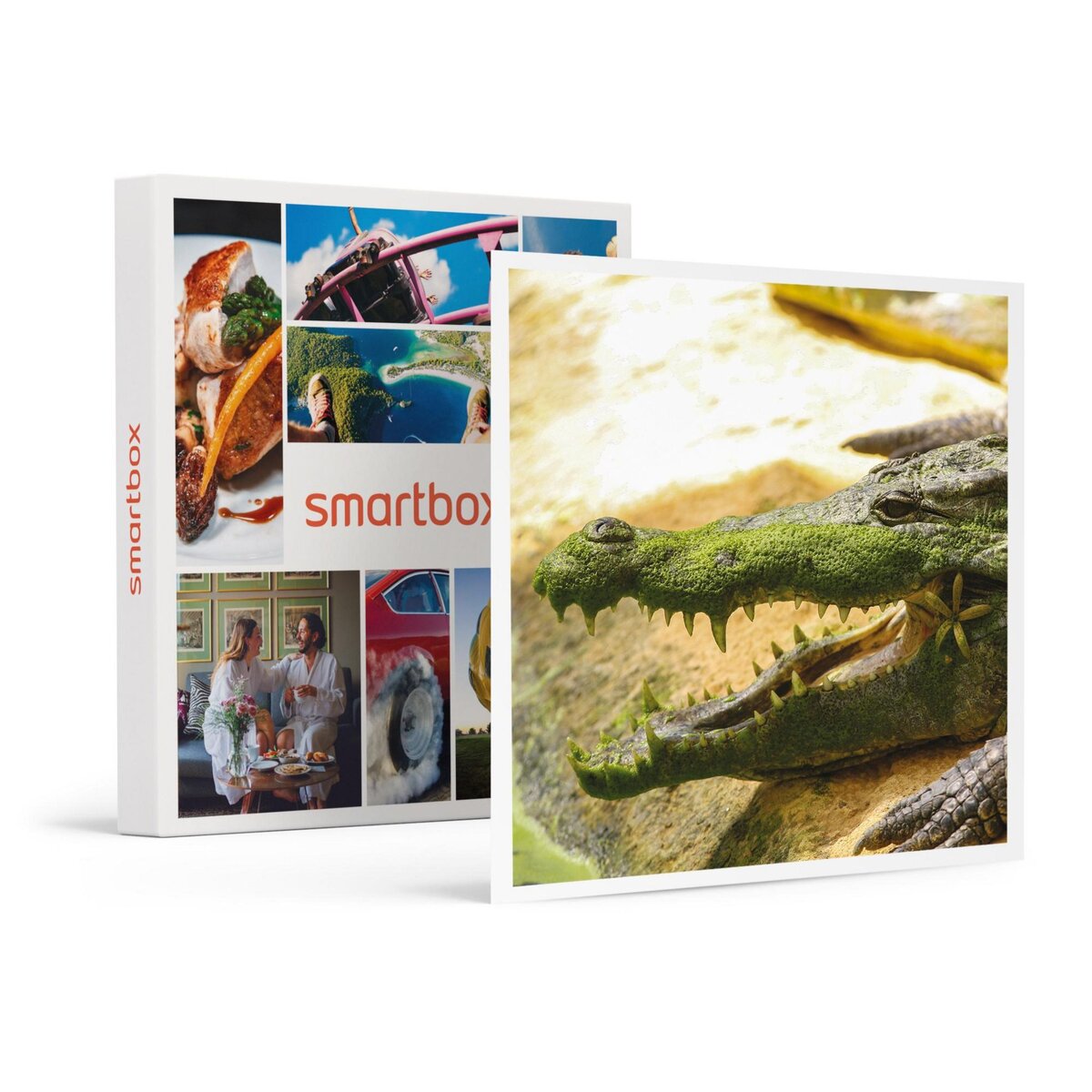 Smartbox Journée en famille près de Montélimar : entrées pour La Ferme aux Crocodiles pour 2 adultes et 1 enfant - Coffret Cadeau Sport & Aventure