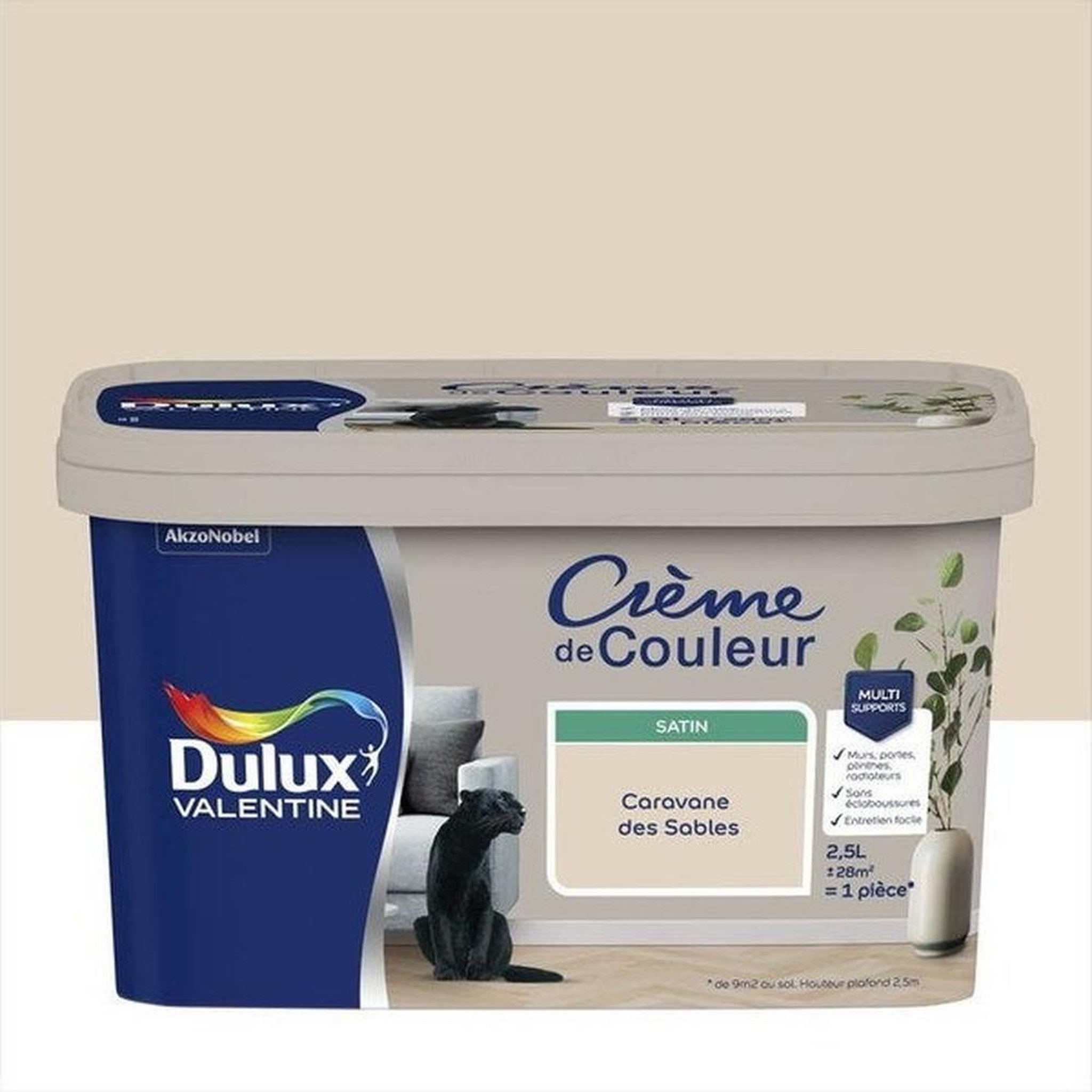 CENTRALE BRICO Peinture pour mur, Crème de couleur satiné caravane des sables 2.5 l