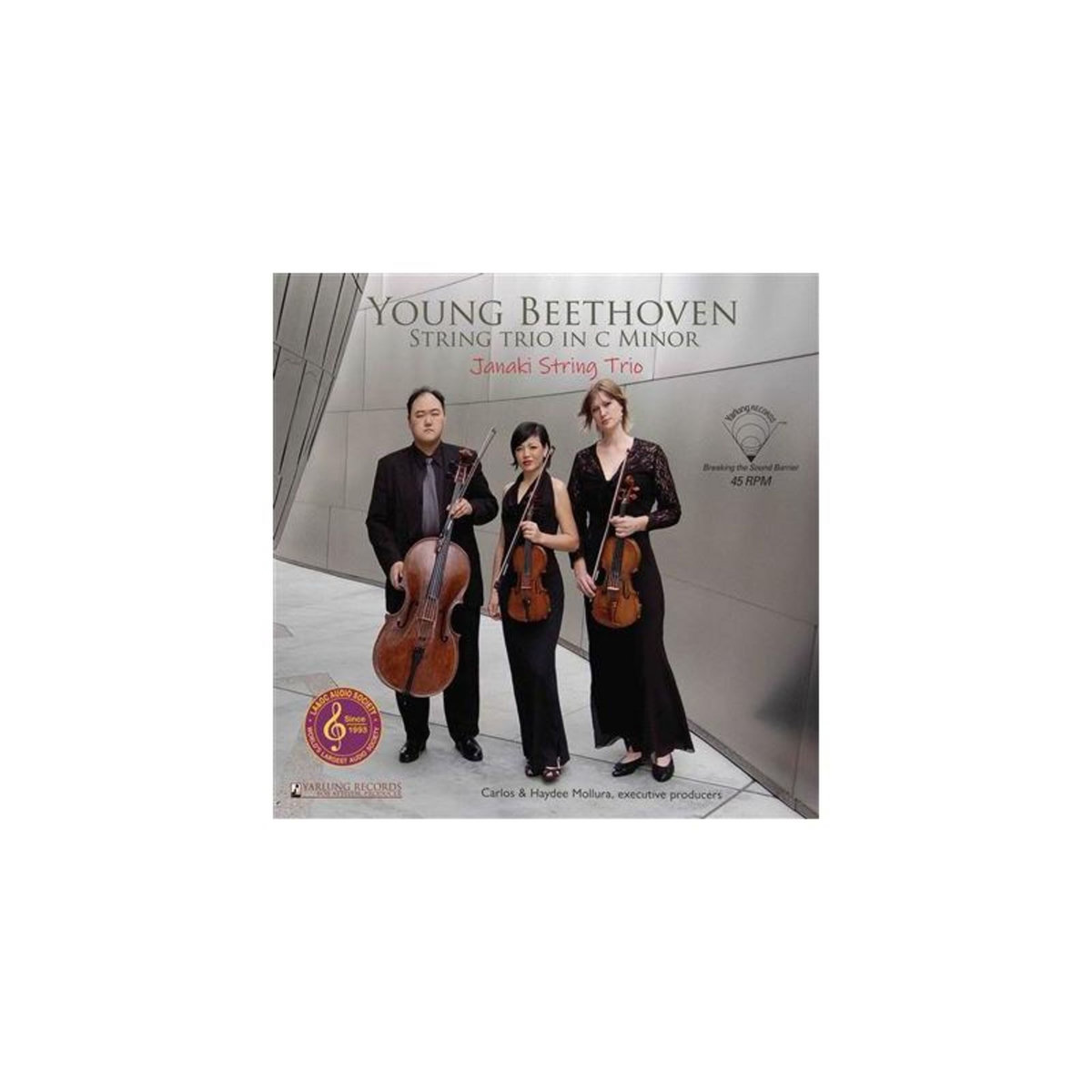 Le jeune Beethoven Trio à cordes en ut majeur