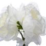 Voir la diapositive 2 : ATMOSPHERA Composition Florale & Vase  3 Pivoines  Verre 25cm Transparent