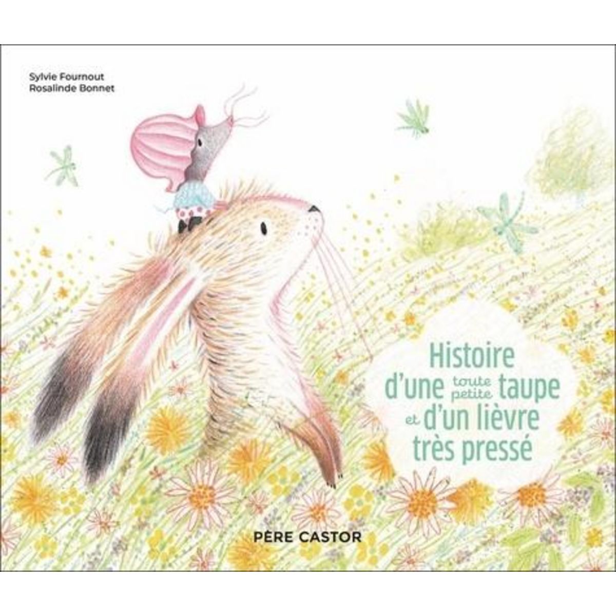 HISTOIRE D'UNE TOUTE PETITE TAUPE ET D'UN LIEVRE TRES PRESSE, Fournout Sylvie