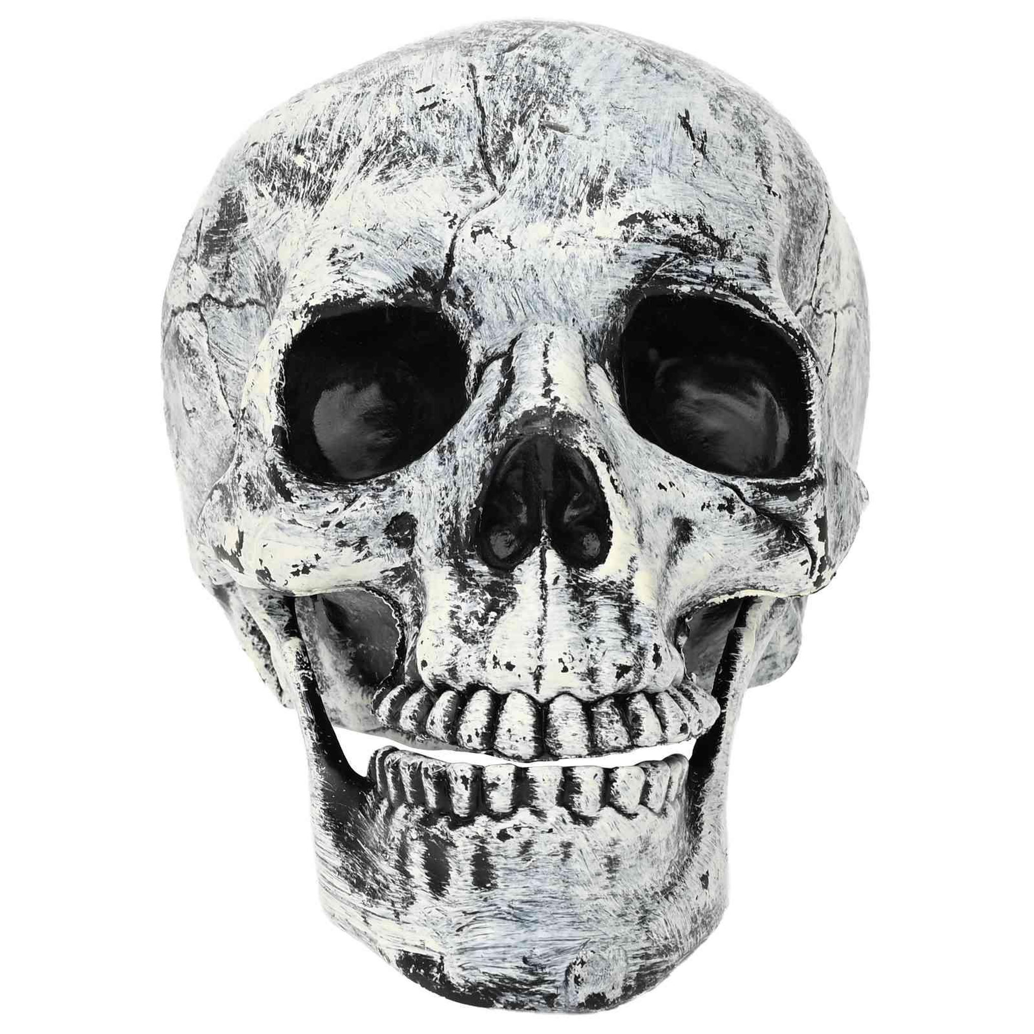 Voir la diapositive 4 : VIDAXL Crane de Halloween SPOOKA 2 pc Blanc 12 x 15 x 17,5 cm