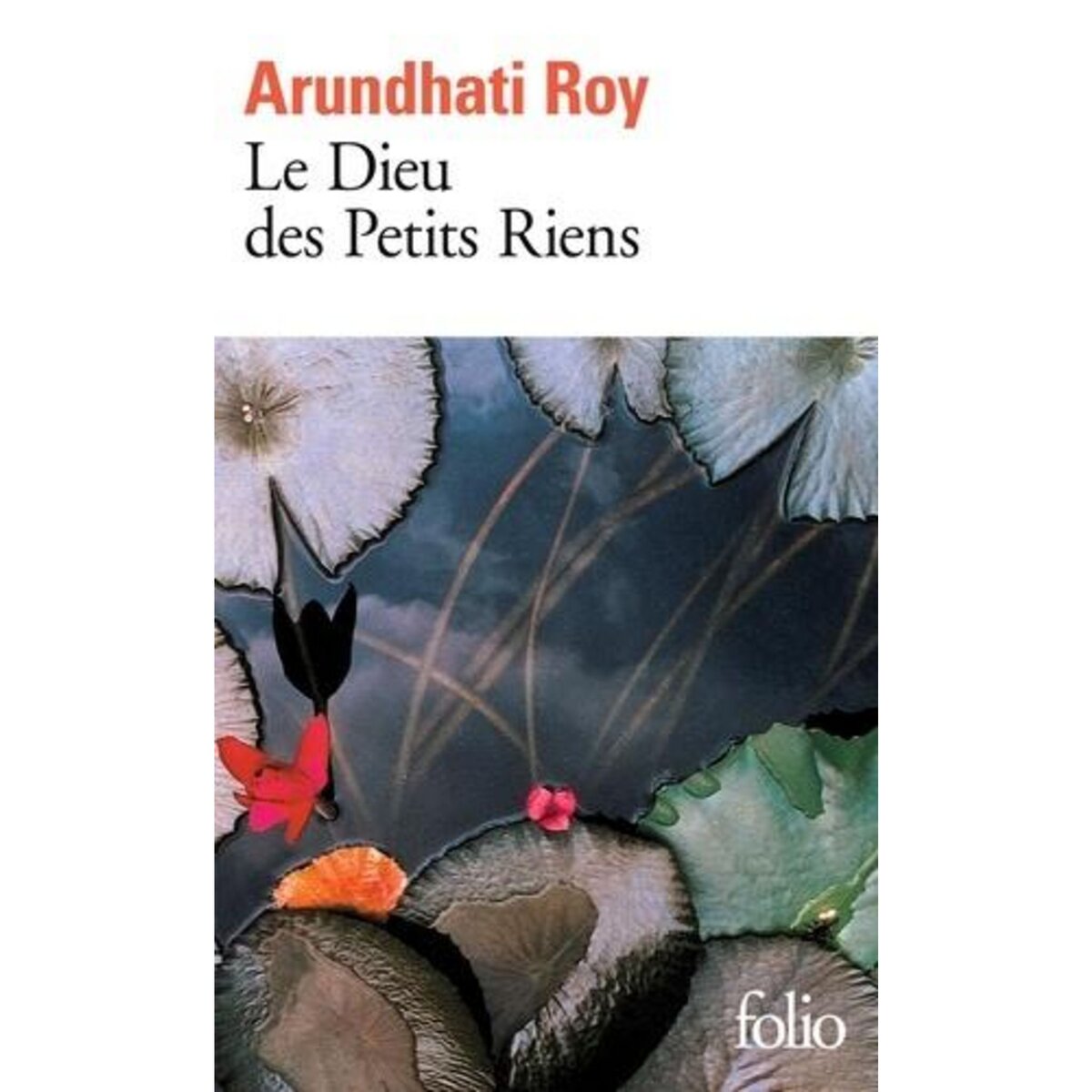 LE DIEU DES PETITS RIENS, Roy Arundhati