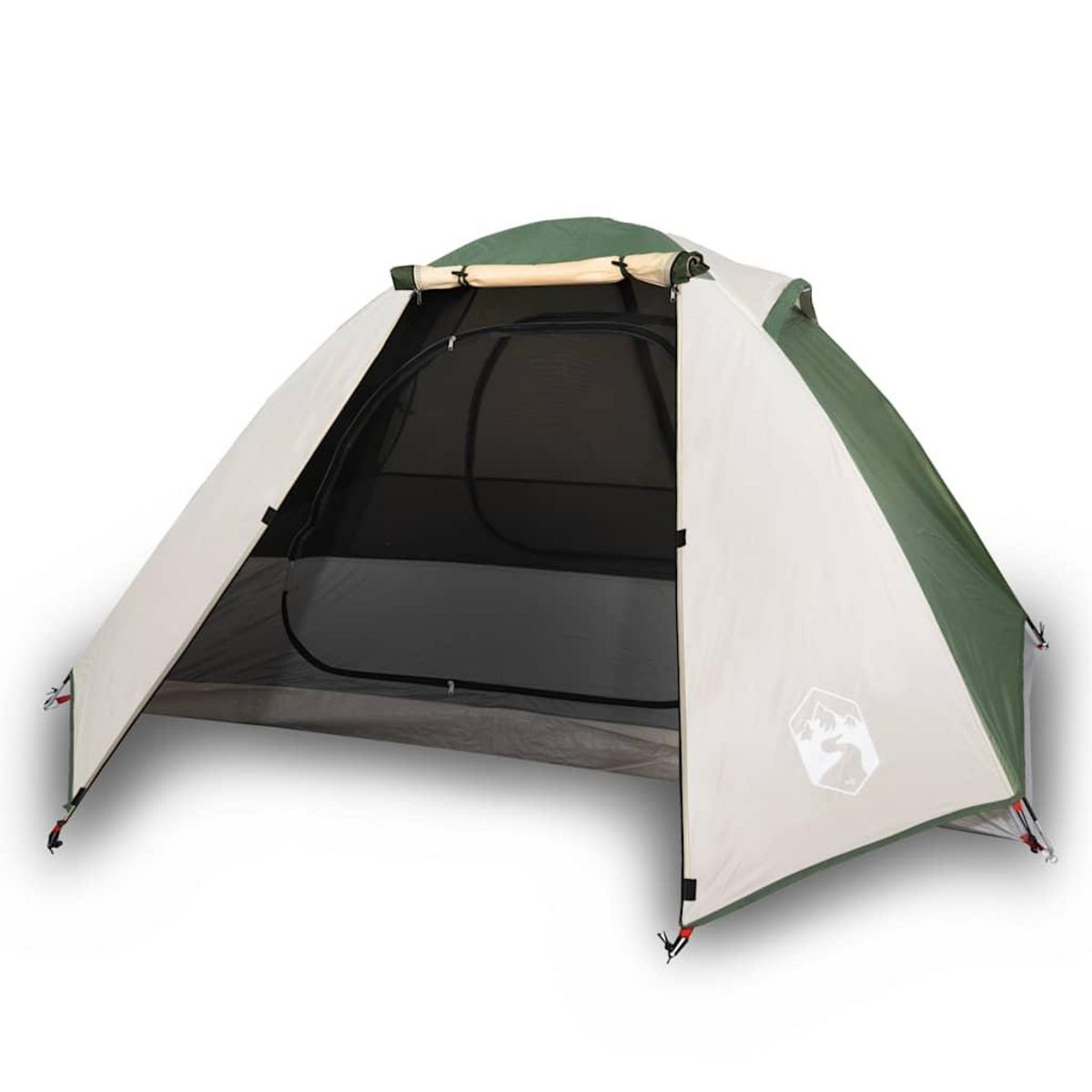 VIDAXL Tente de camping a dome 2 personne vert impermeable