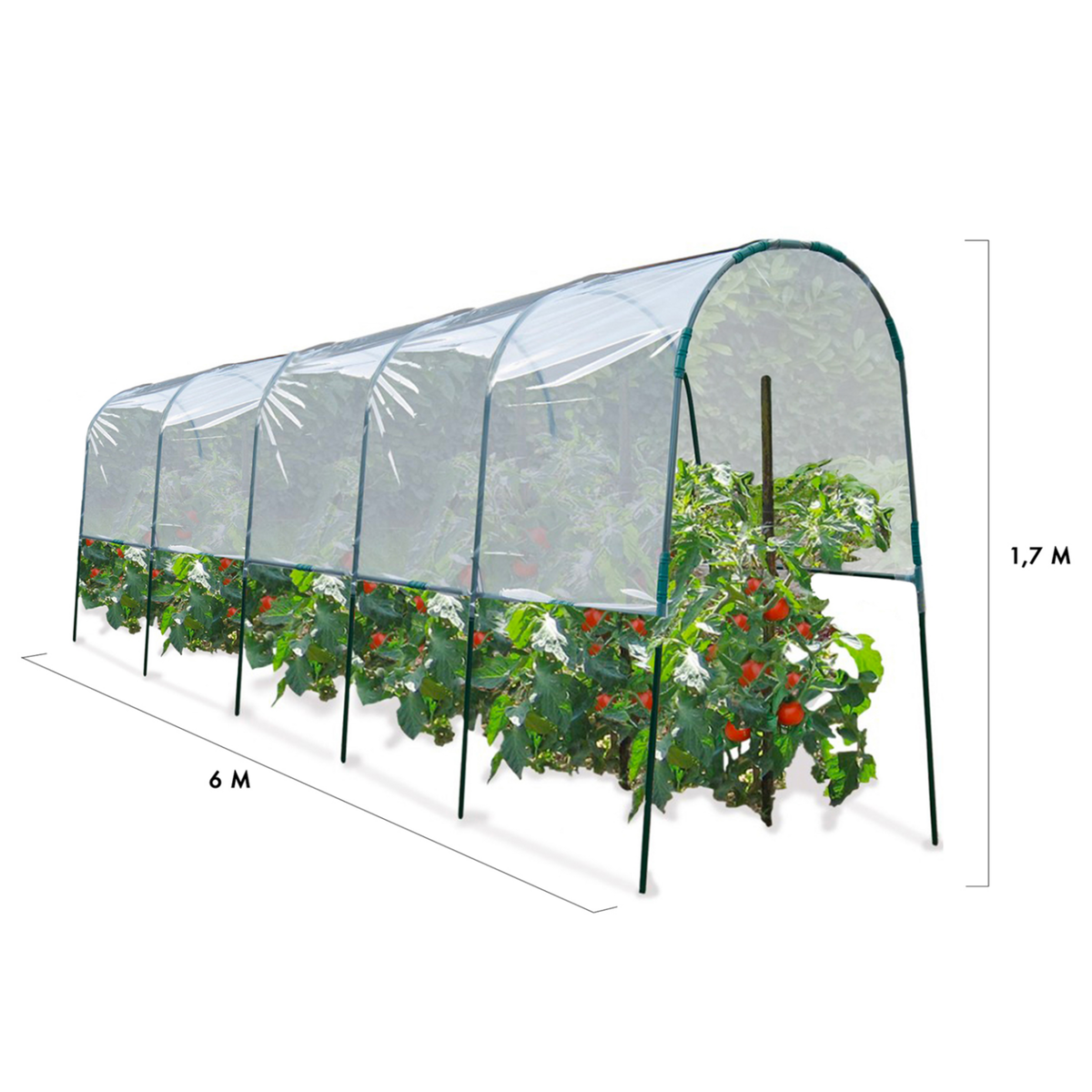 ID MARKET Serre à tomates 6 M