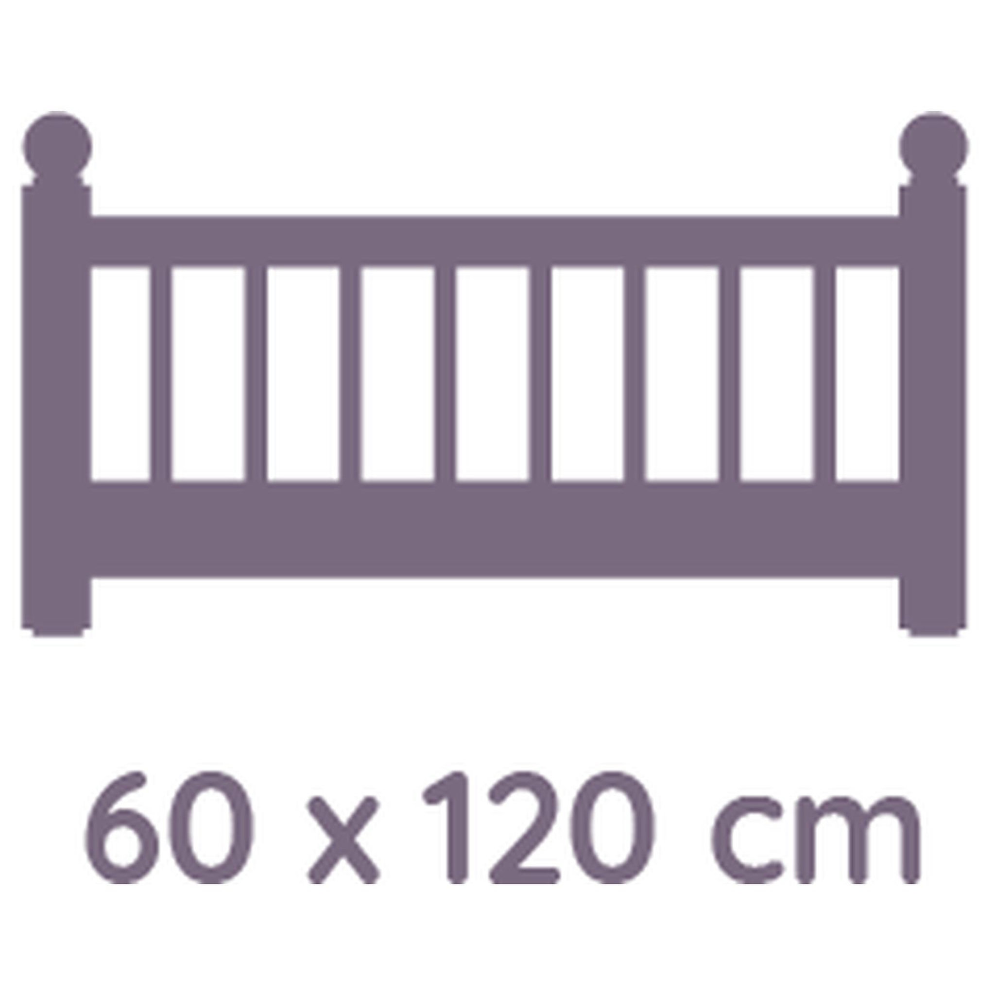 Voir la diapositive 8 : TINEO Plan incliné 10° P'tit Loup pour lit 60x120 cm
