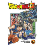 DRAGON BALL SUPER TOME 13 : COMBATS DIVERS, Toriyama Akira
