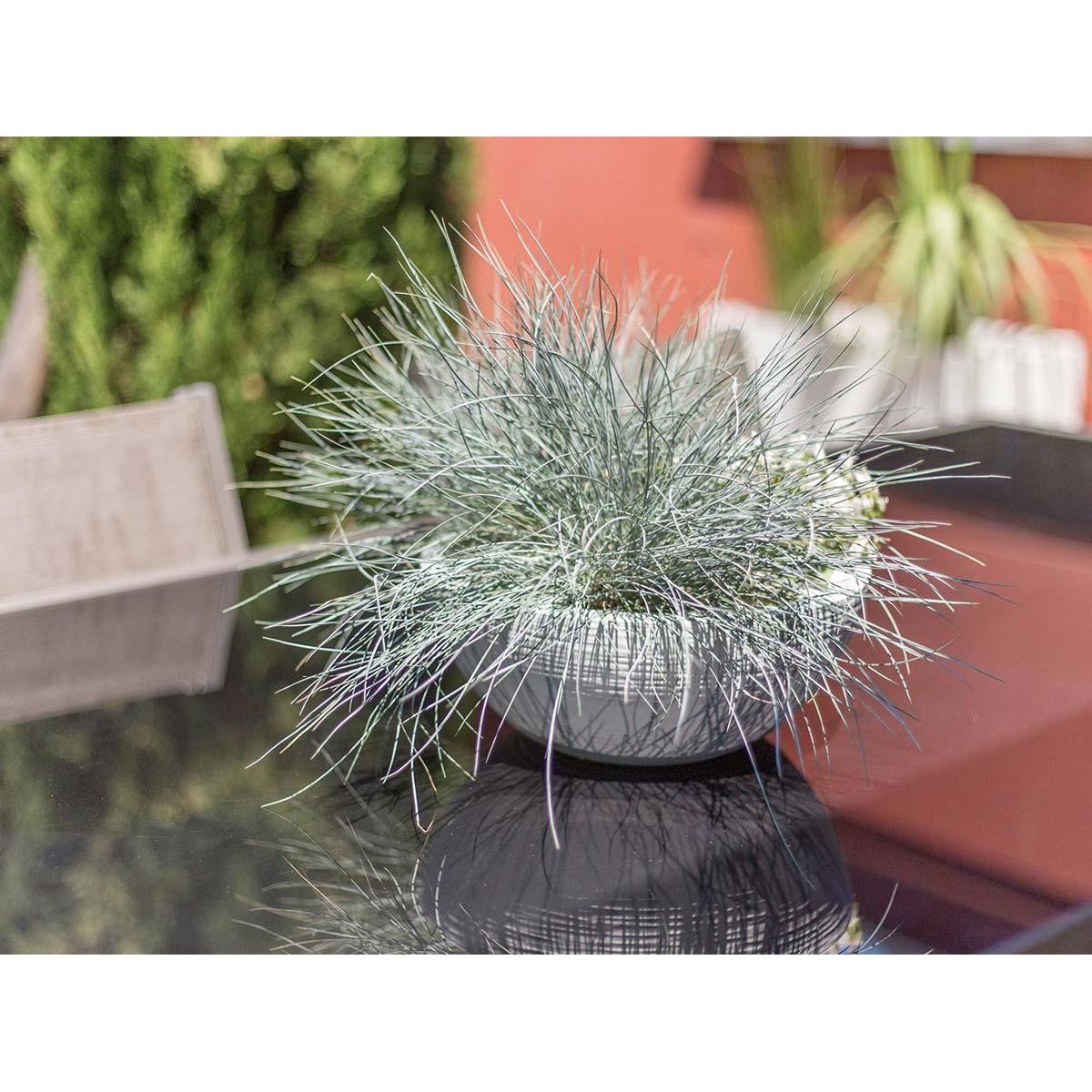 Eda Pot de fleurs vasque en plastique Graphit UP blanc cérusé - Ø 30 cm - Eda