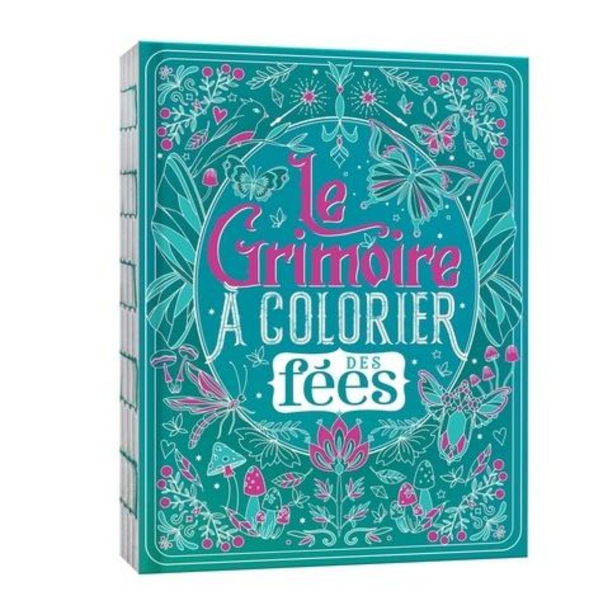 LE GRIMOIRE A COLORIER DES FEES, Kalicky Anne