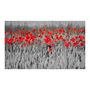 Voir la diapositive 2 : Paris Prix Papier Peint  Coquelicots Rouge sur Champ Noir & Blanc  270x450cm