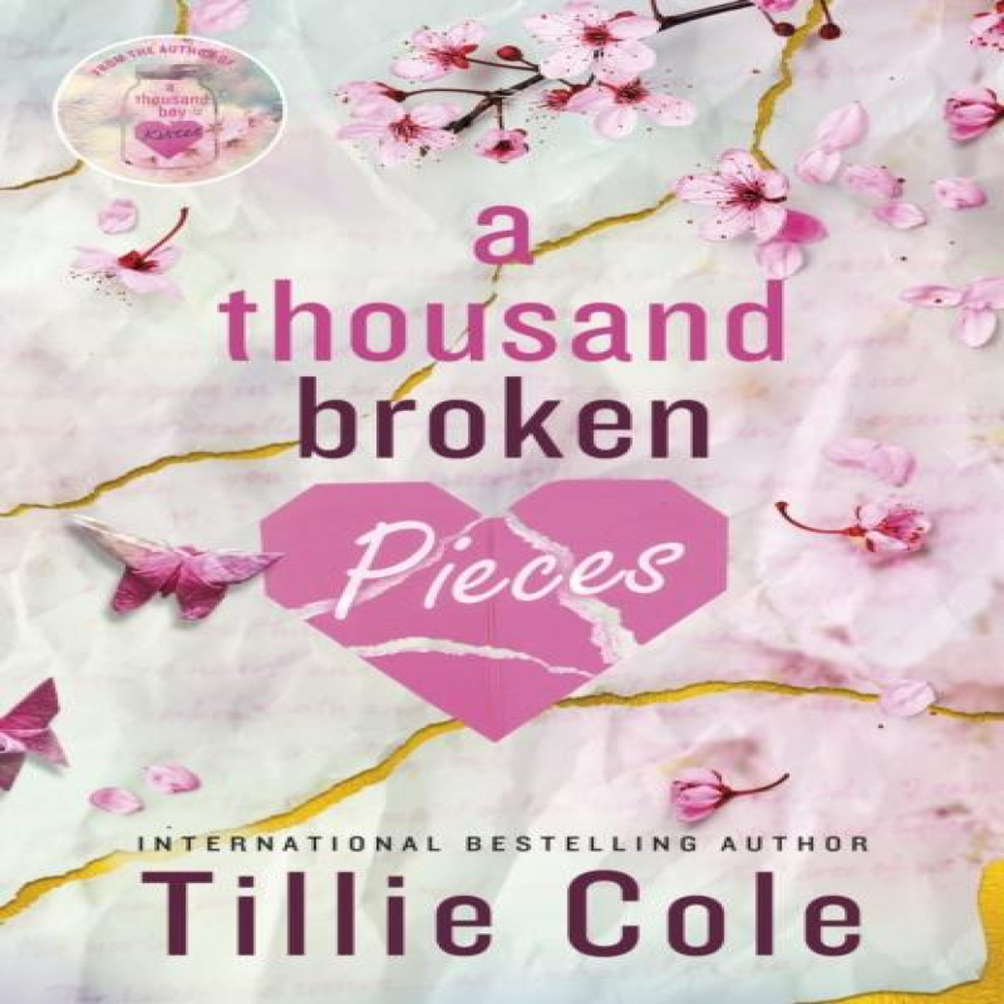 LIVRES A Thousand Broken Pieces