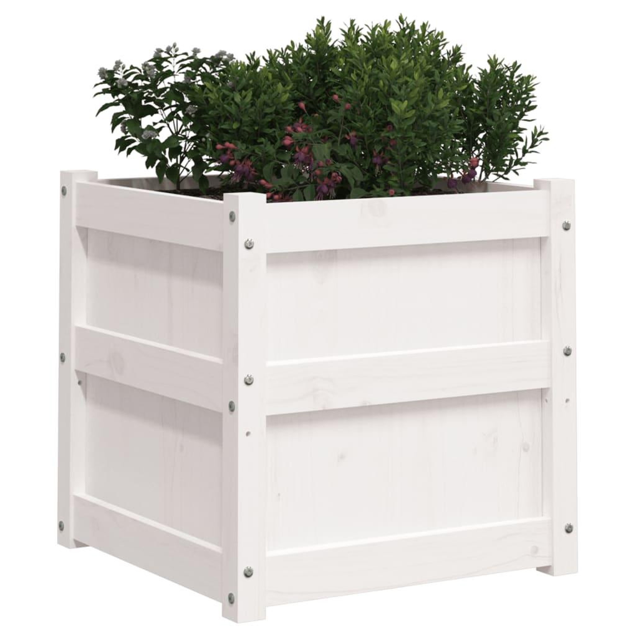 Voir la diapositive 4 : VIDAXL Jardiniere blanc 50x50x50 cm bois de pin massif