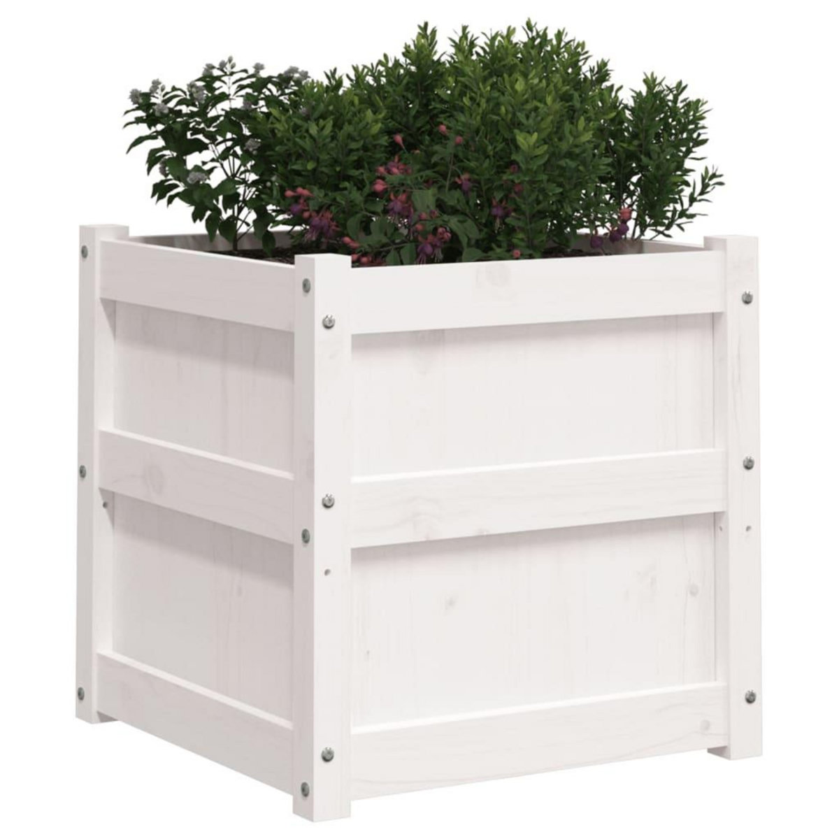 VIDAXL Jardiniere blanc 50x50x50 cm bois de pin massif