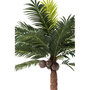 Voir la diapositive 2 : Paris Prix Plante Artificielle  Palmier 4 Noix de Coco  350cm Vert