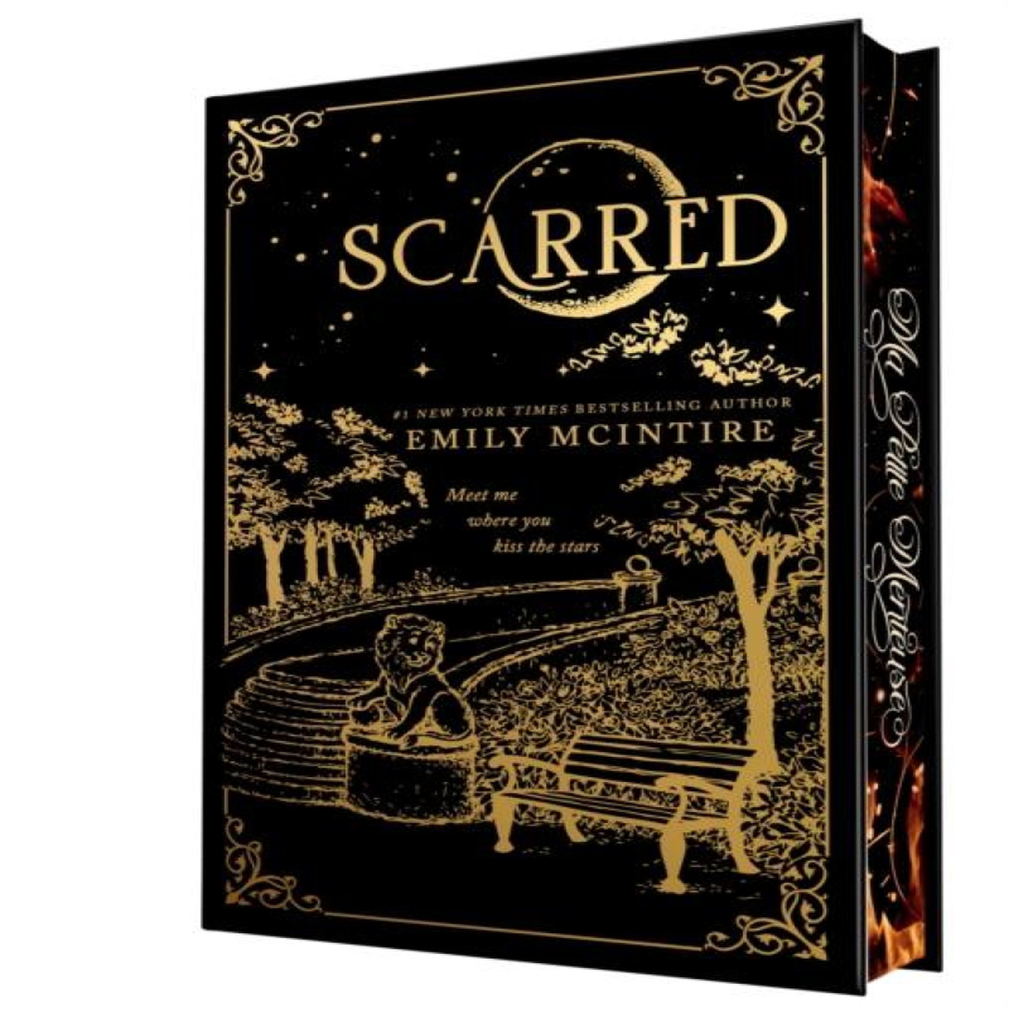 LIVRES Scarred (Collector's Edition) : A Dark Contemporary Romance and Fractured Fairy Tale (Never After Book 2)