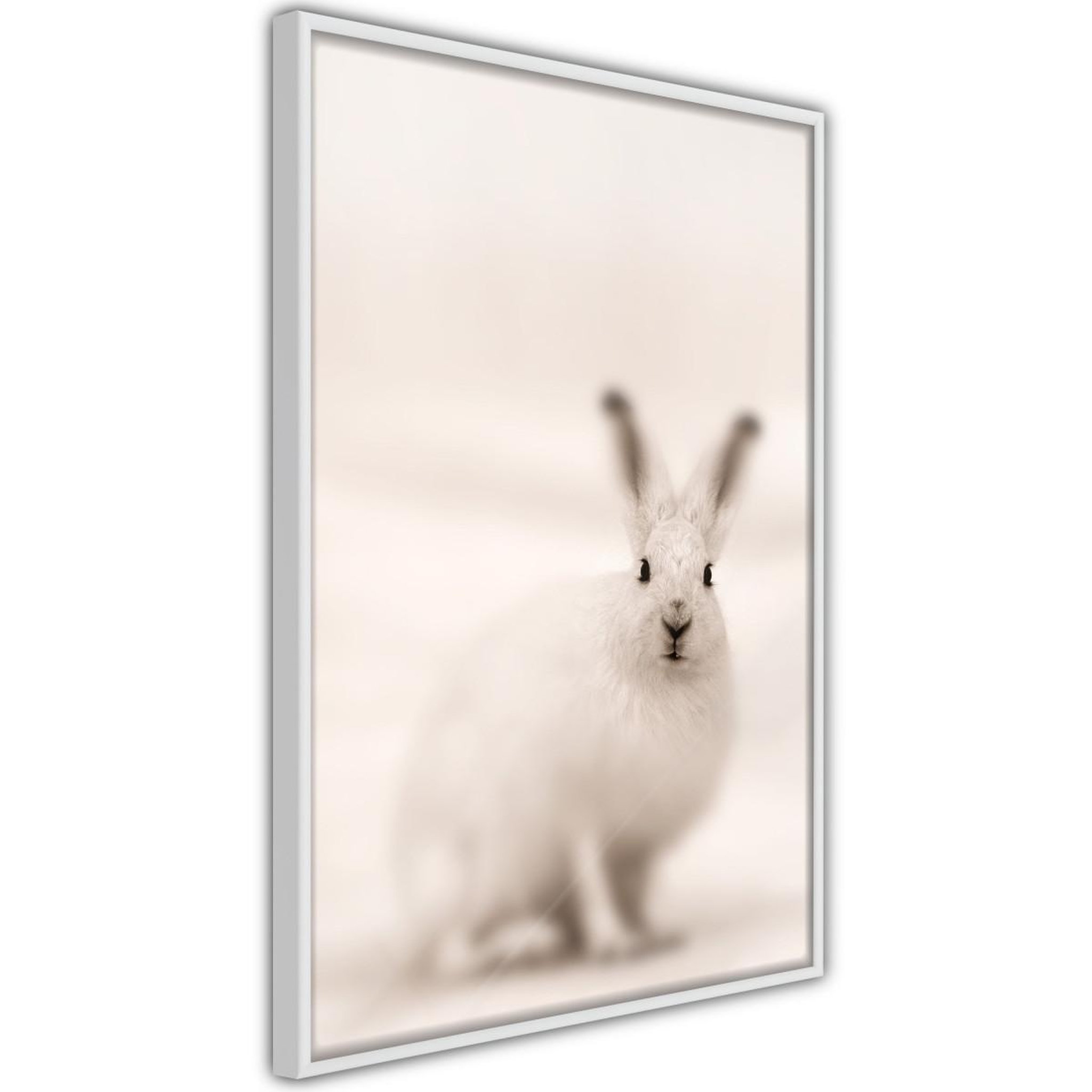 Paris Prix Affiche Murale Encadrée  Curious Rabbit