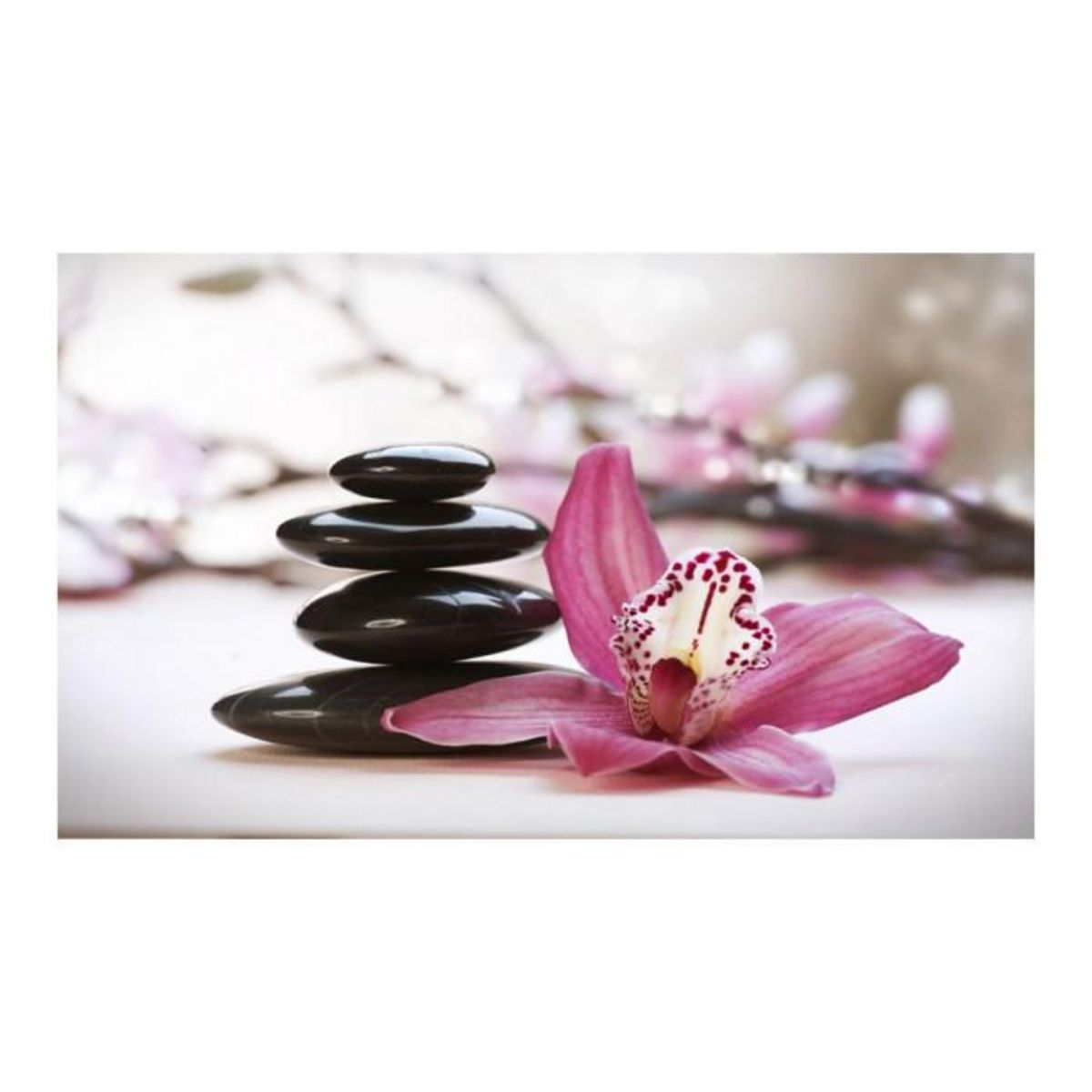 Paris Prix Papier Peint  Relaxation & Wellness II  270x450cm