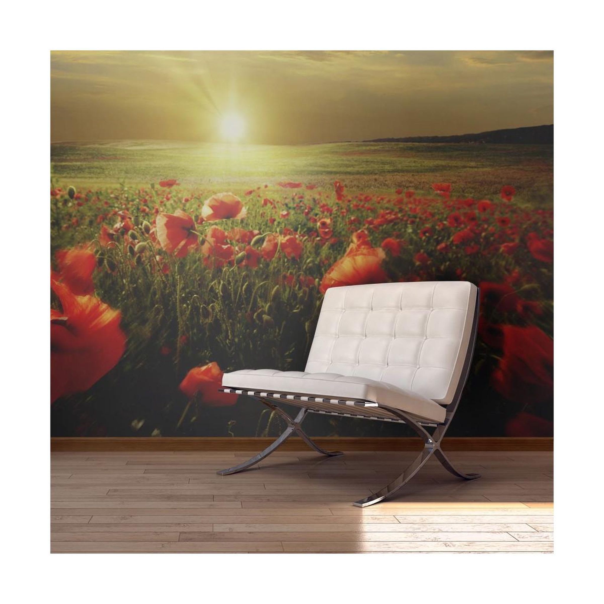 Paris Prix Papier peint  morning on the poppy meadow ii  450x270cm