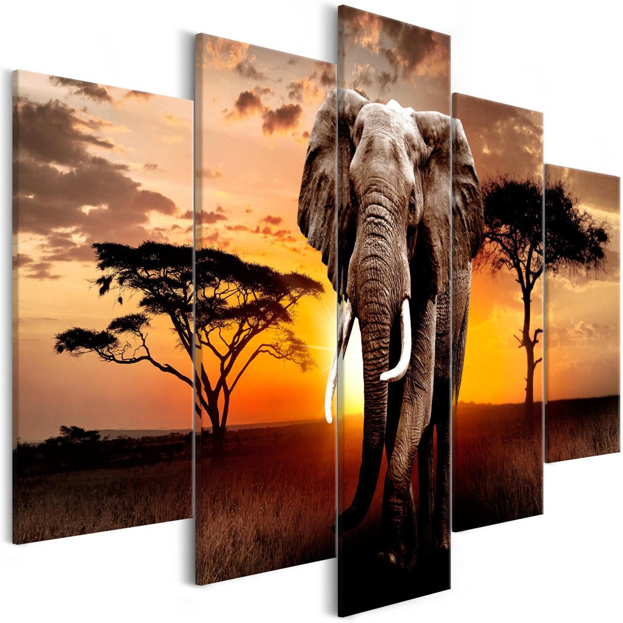 Voir la diapositive 1 : Paris Prix Tableau imprimé  wandering elephant 5 panneaux wide  100x225cm