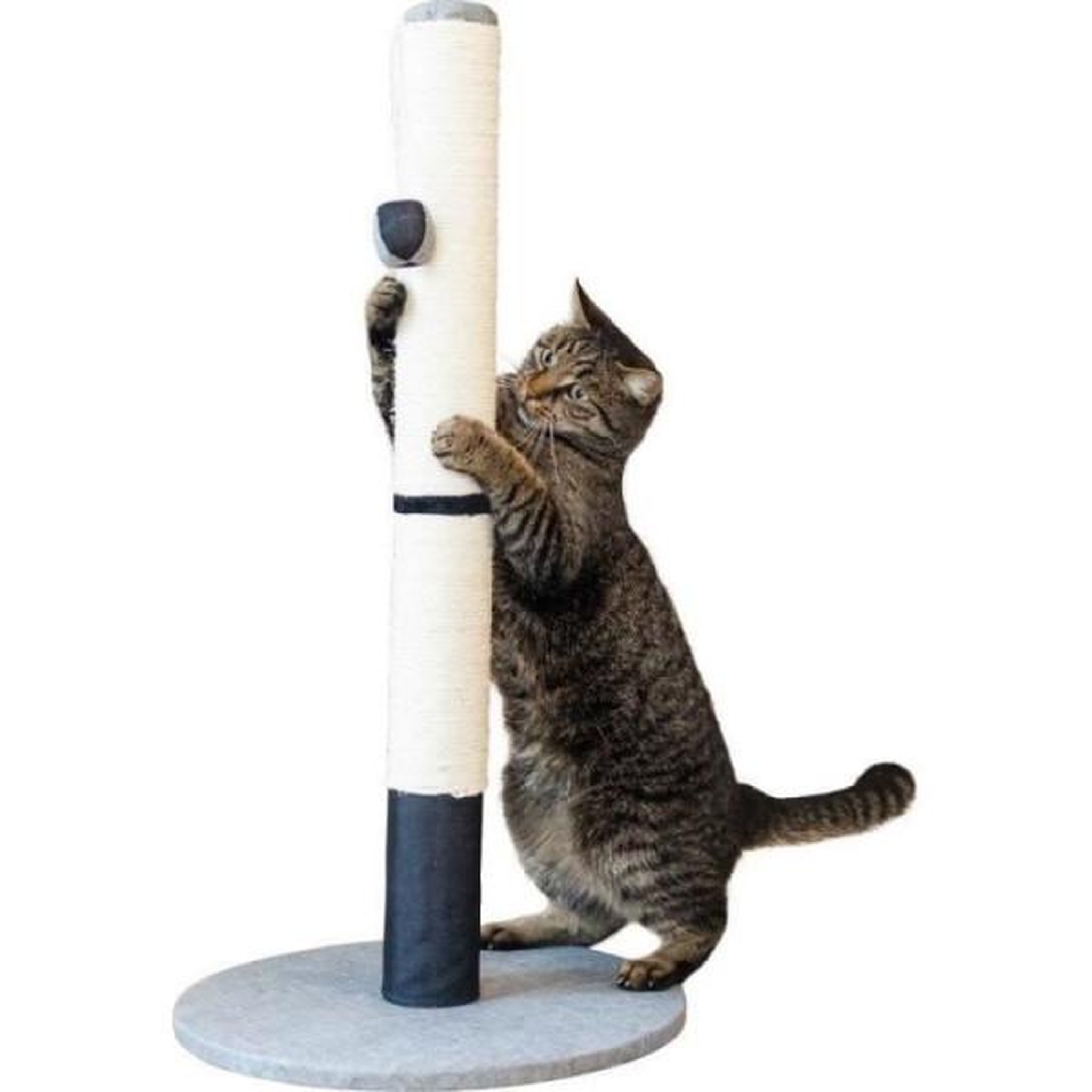 Voir la diapositive 2 : KERBL KERBL - Poteau griffoir pour chat - Tronc - OPAL PRO - 40 x 7 cm