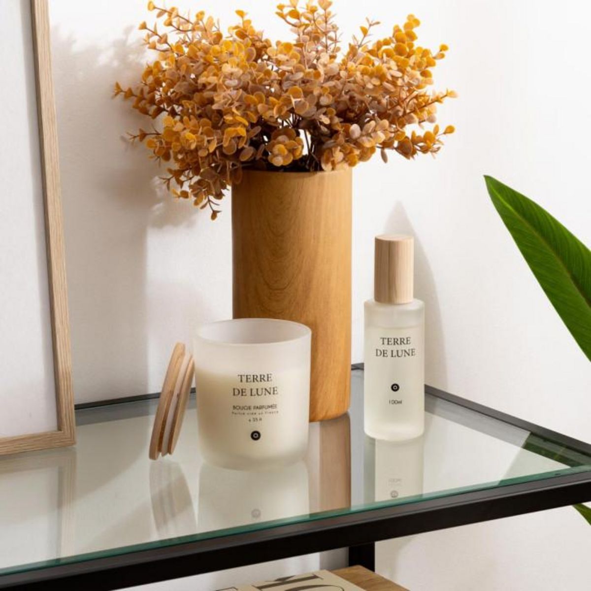 ATMOSPHERA Bougie Parfumée en Verre  Sana  255g Terre de Lune