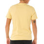 Voir la diapositive 2 : Rip Curl T Shirt  Homme Rip Curl Sun Soaker
