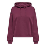 Only weat à capuche  Femme Calli Life. Coloris disponibles : Violet