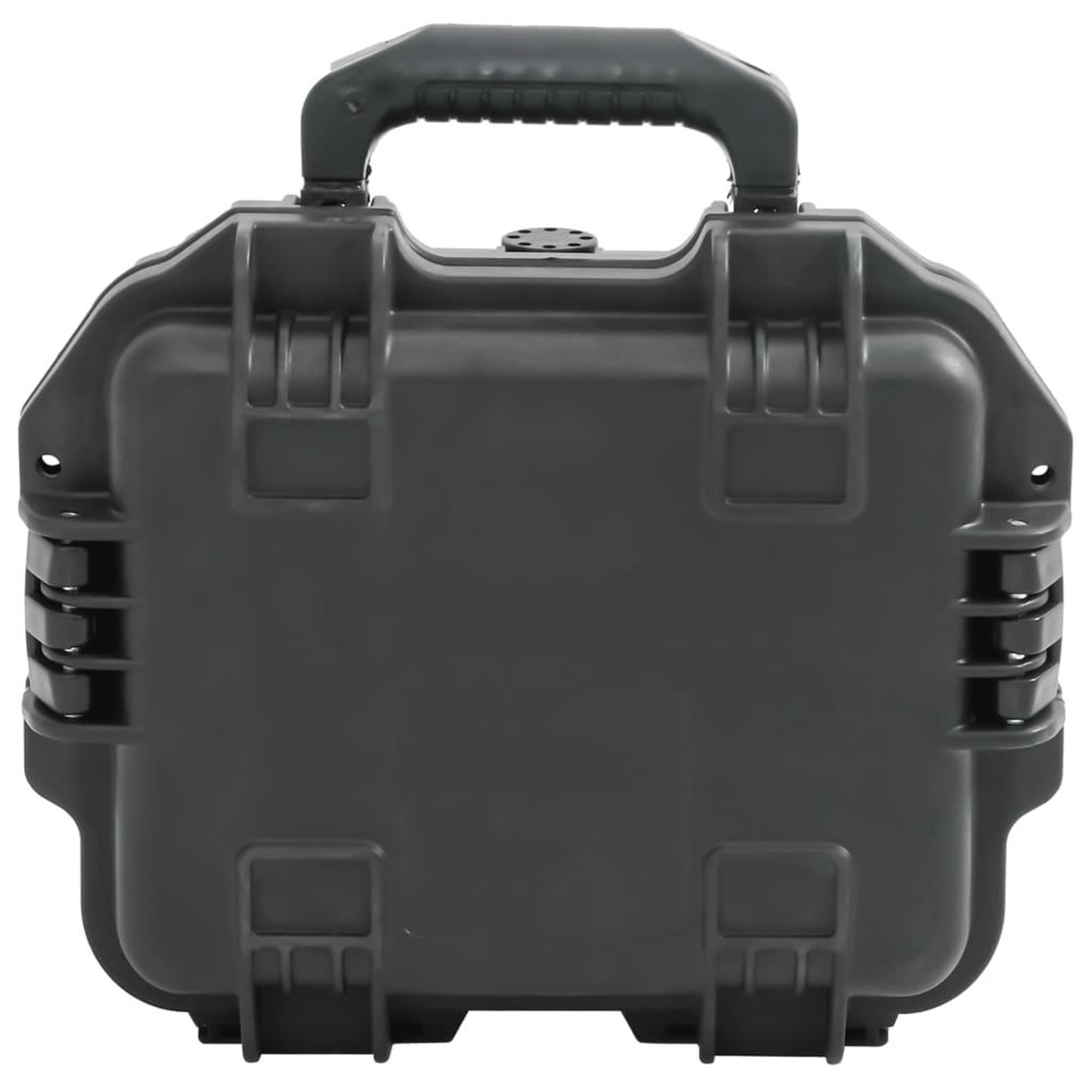 Voir la diapositive 2 : VIDAXL Valise de vol portable Noir 30x24,5x12,5 cm PP