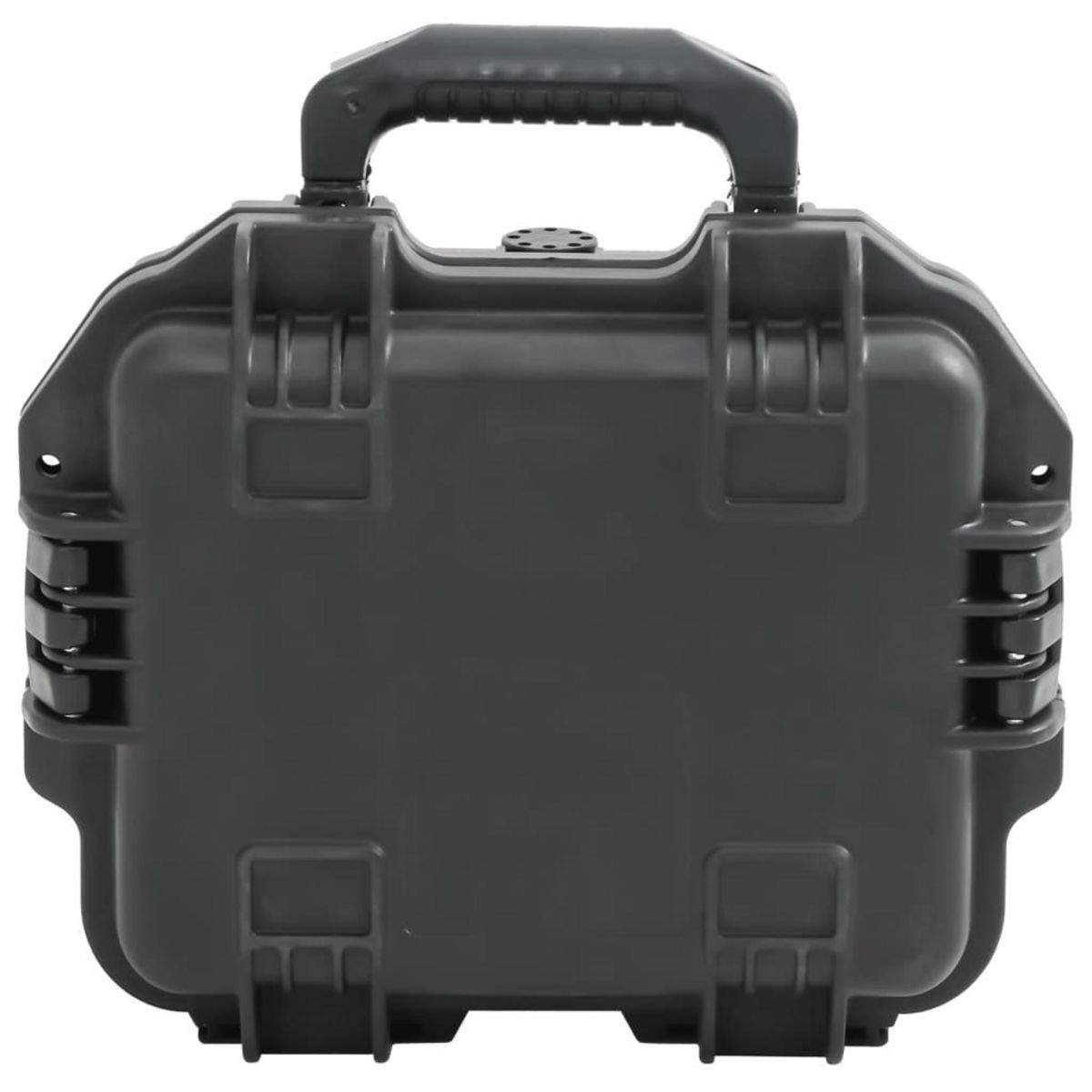 VIDAXL Valise de vol portable Noir 30x24,5x12,5 cm PP
