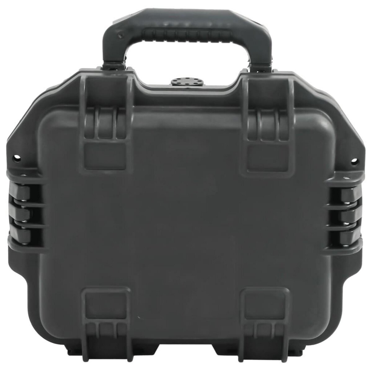 VIDAXL Valise de vol portable Noir 30x24,5x12,5 cm PP